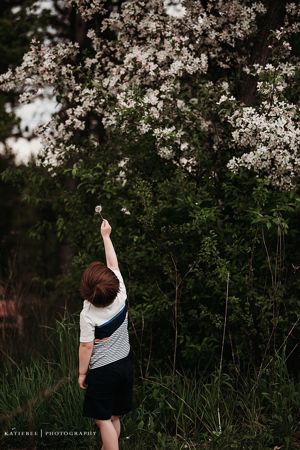 A child reaches up to touch flowering tree branches in a magical spring moment.