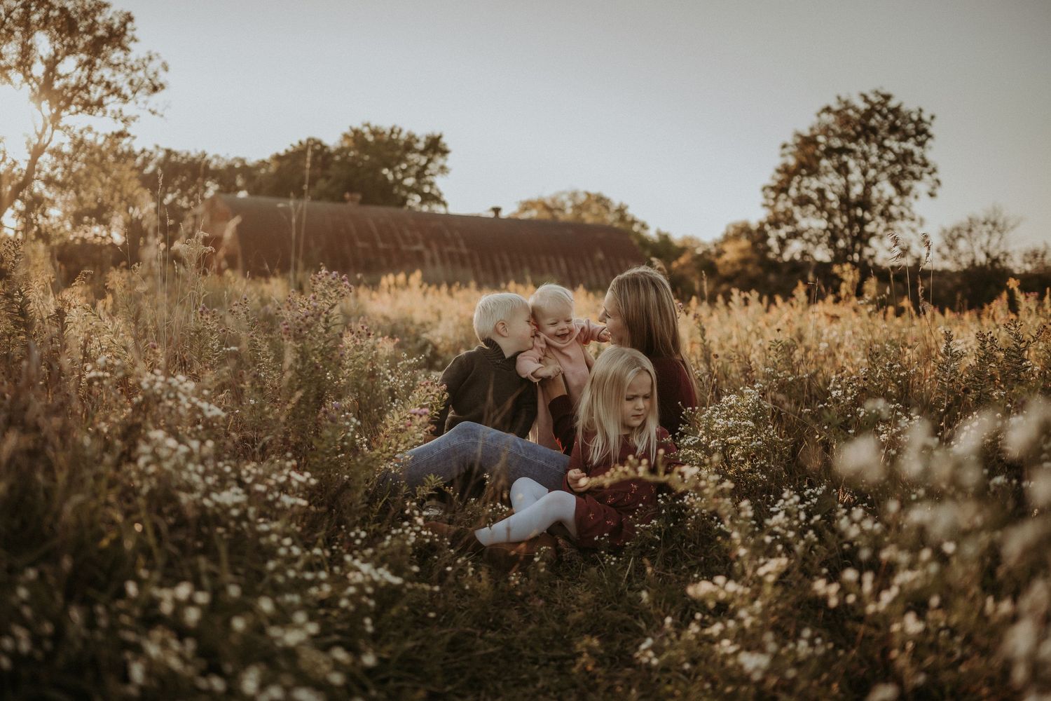 Intimate family portrait session in a wild meadow at sunset.