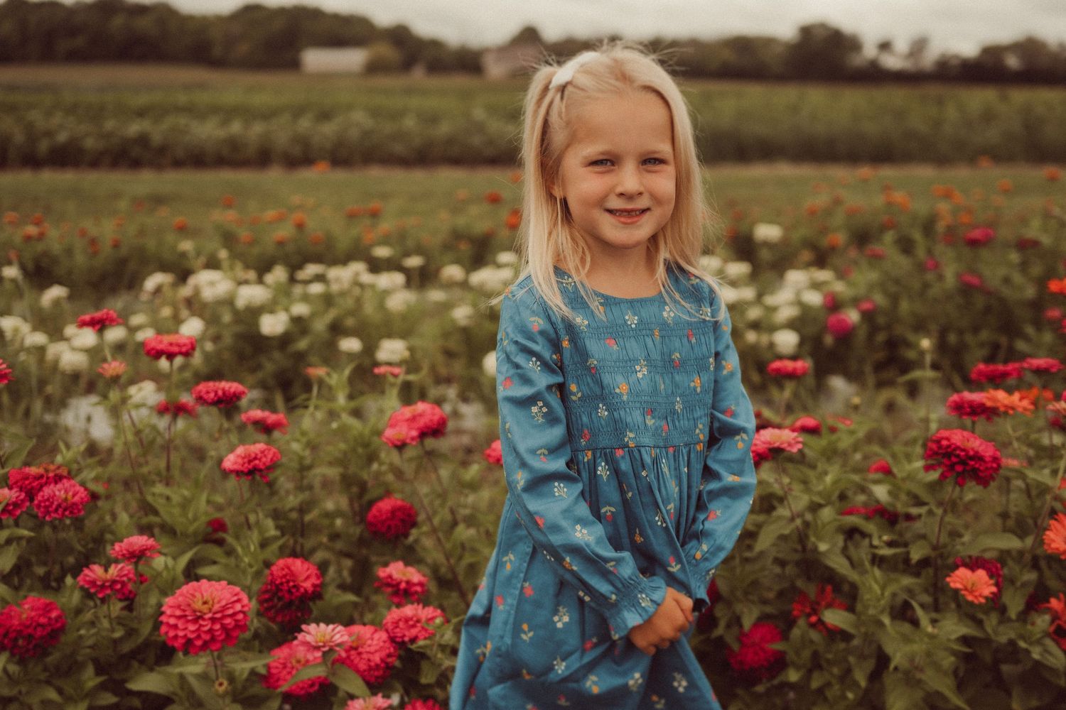 Young person in blue dress standing among colorful zinnia flowers in a field.