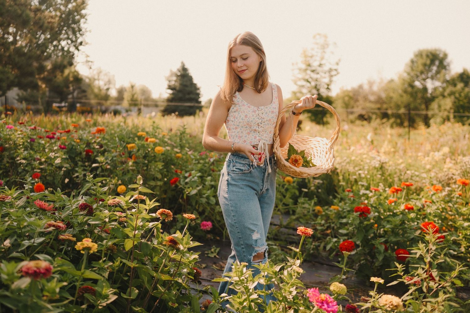 A sun-drenched flower garden with vibrant blooms and colorful zinnias stretches across a summer landscape.