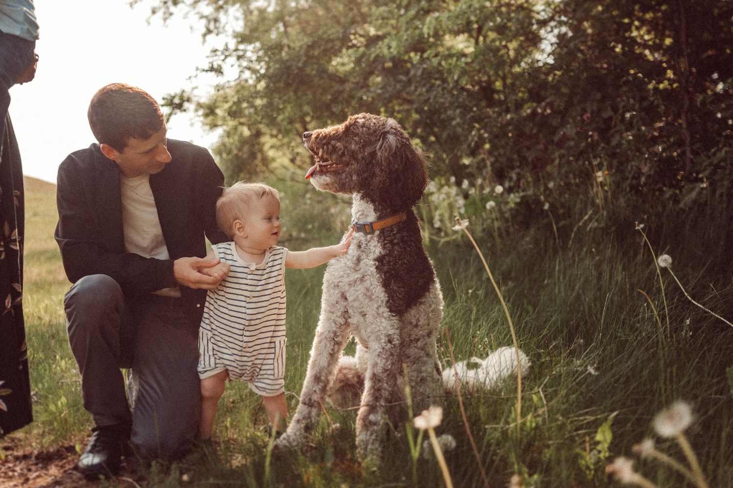A family and their fluffy dog share a gentle moment among wildflowers in warm lighting.