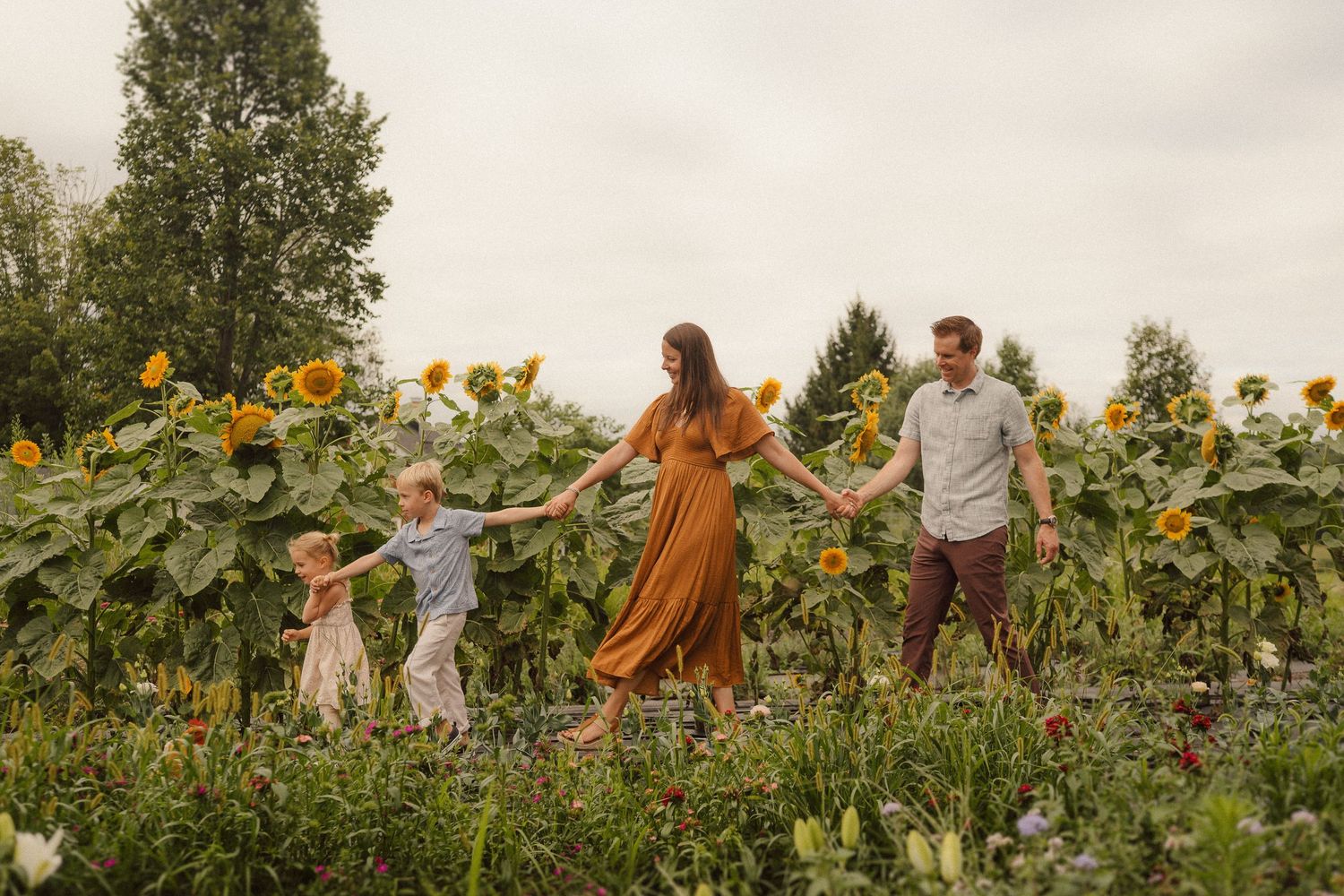 A group holds hands while walking through a sunflower field on a cloudy summer day.