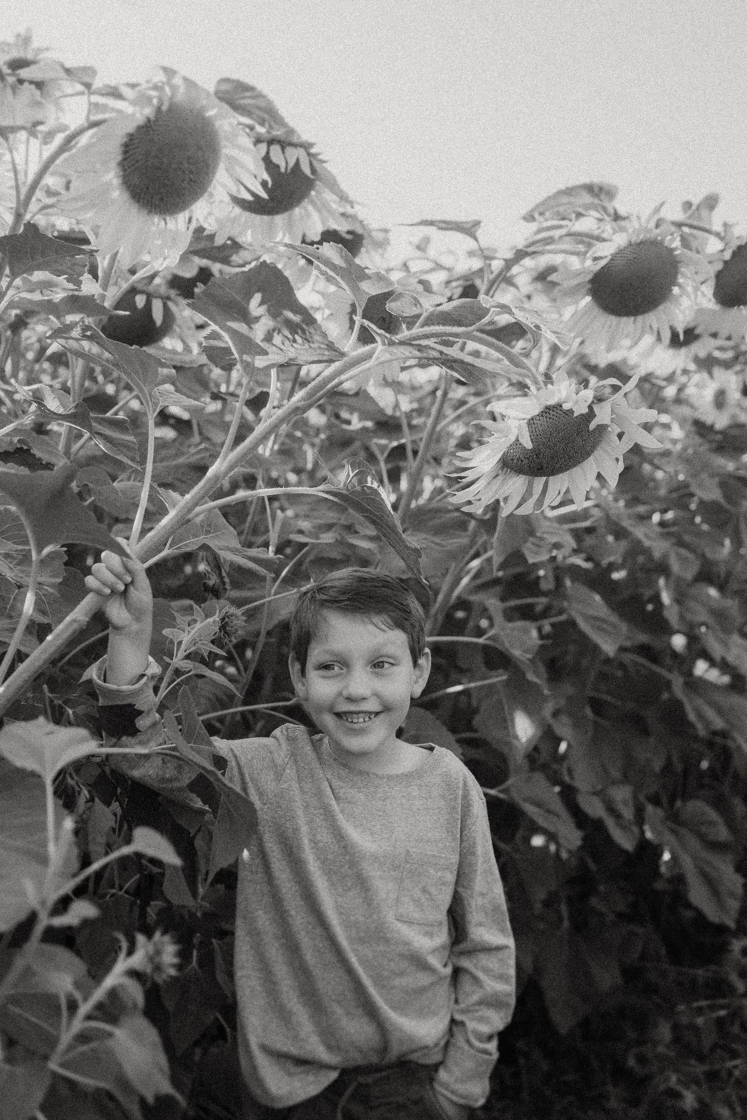 Cheerful child poses in a sunflower field captured in black and white photography.