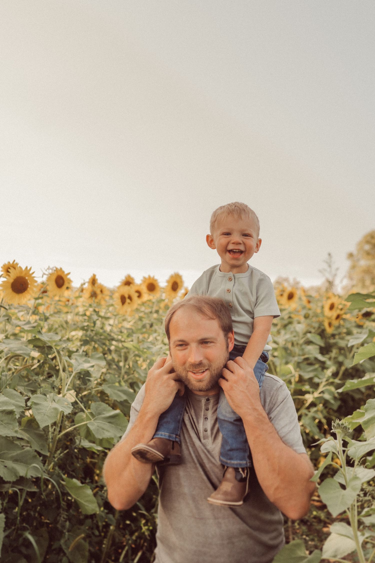 Parent giving child a shoulder ride among tall sunflowers during golden hour.