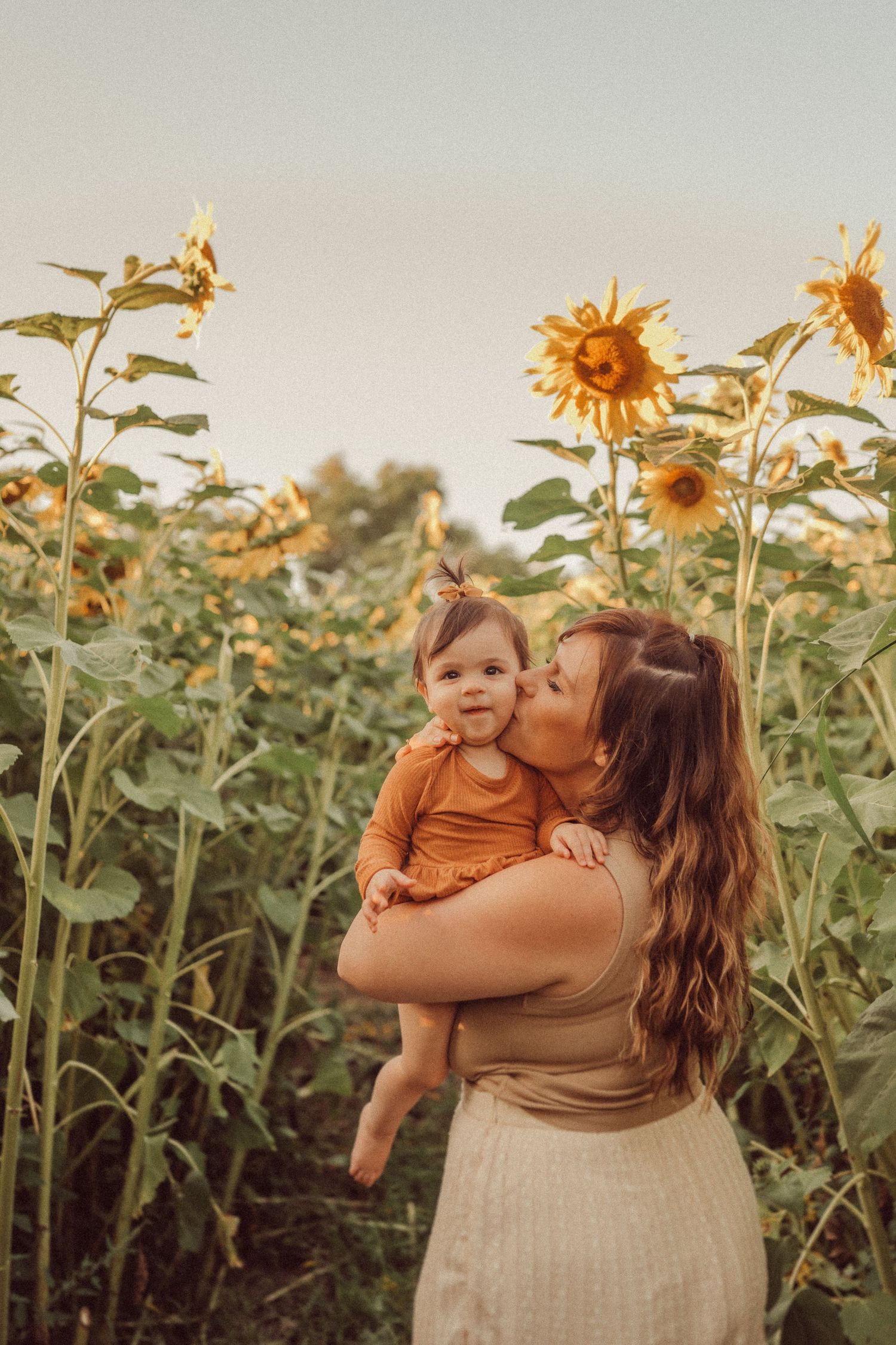 An intimate family embrace captured among tall sunflowers during golden hour.