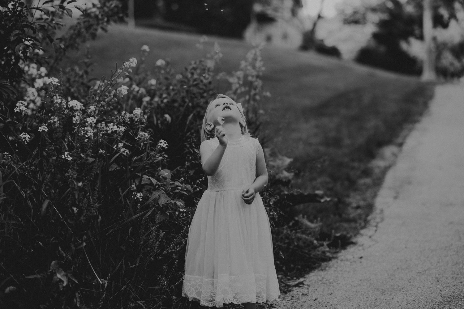 Black and white portrait of a child in a white dress standing by flowering bushes.