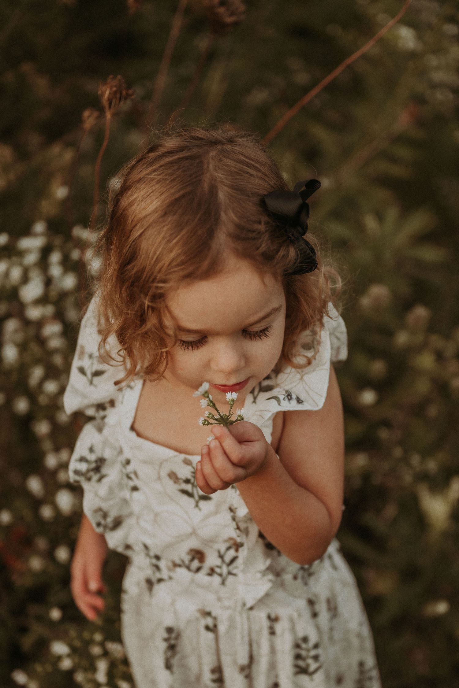 Child in white dress smelling a delicate wildflower in warm evening light.