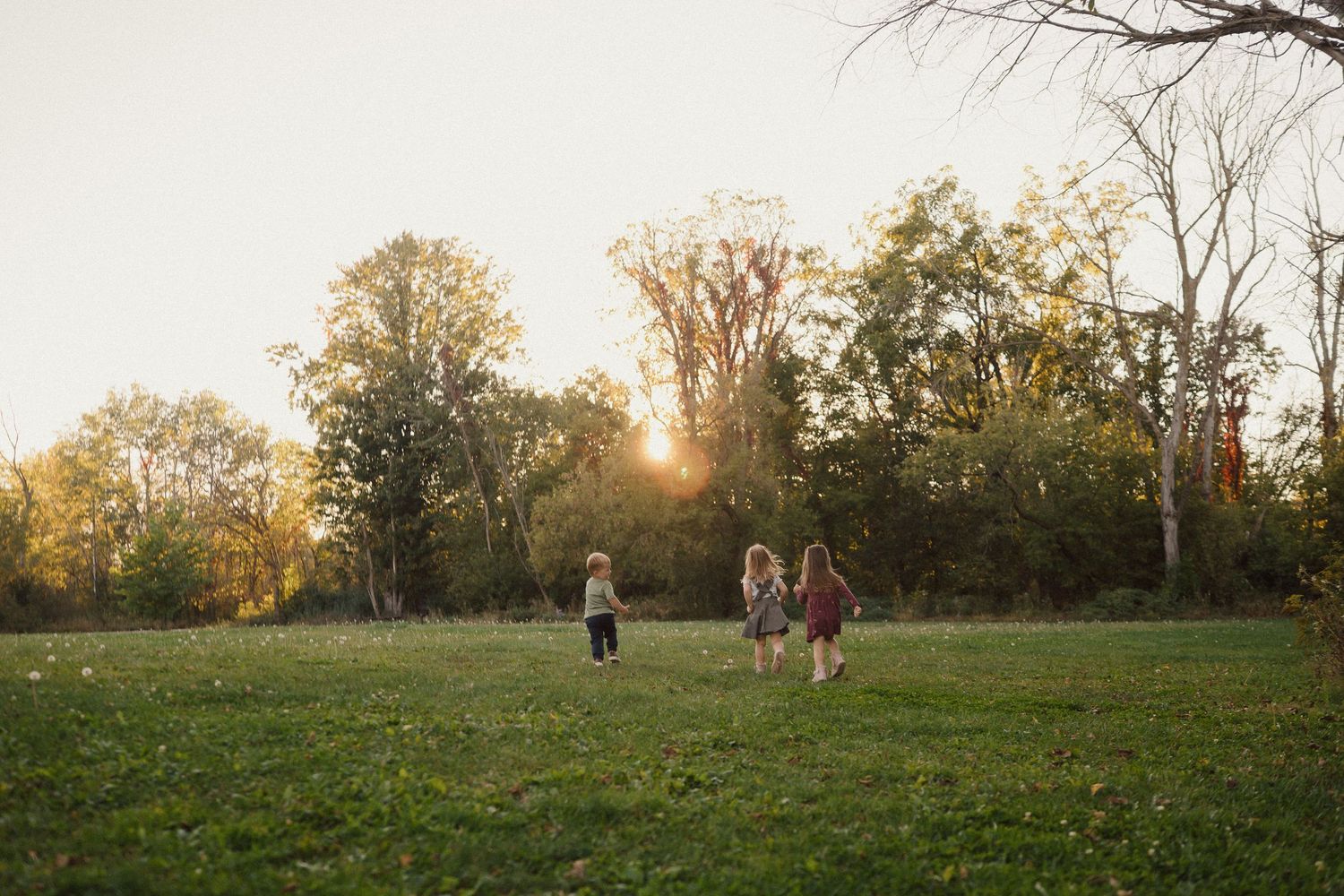 Wide landscape shot of people walking through grassy field at sunset.