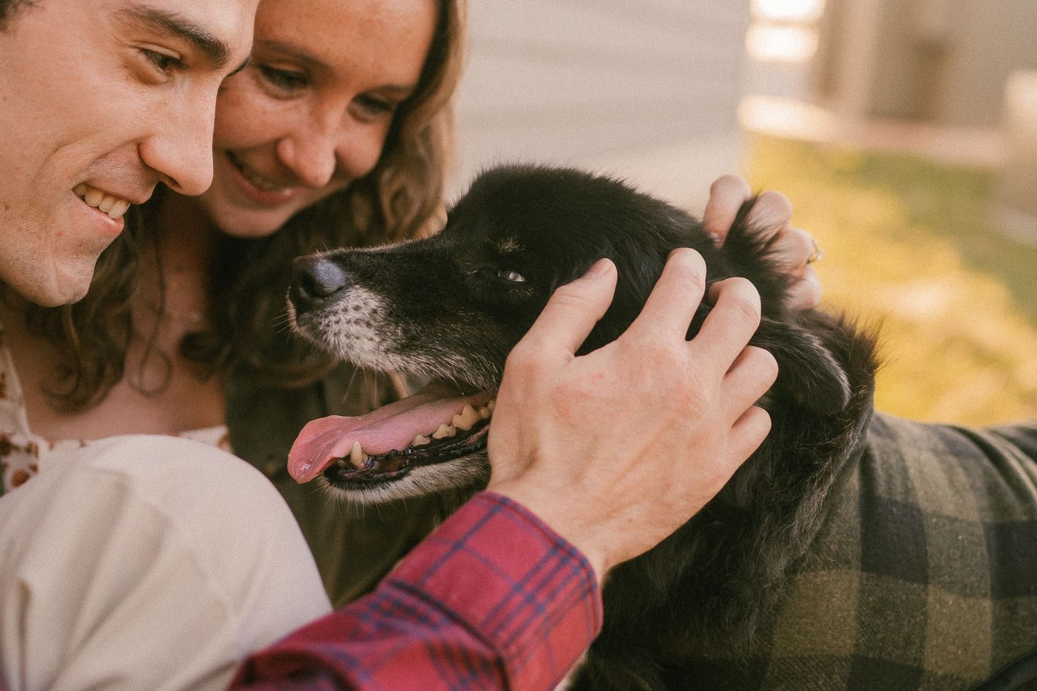 A close-up moment of affection with a happy black dog receiving pets from its owners.