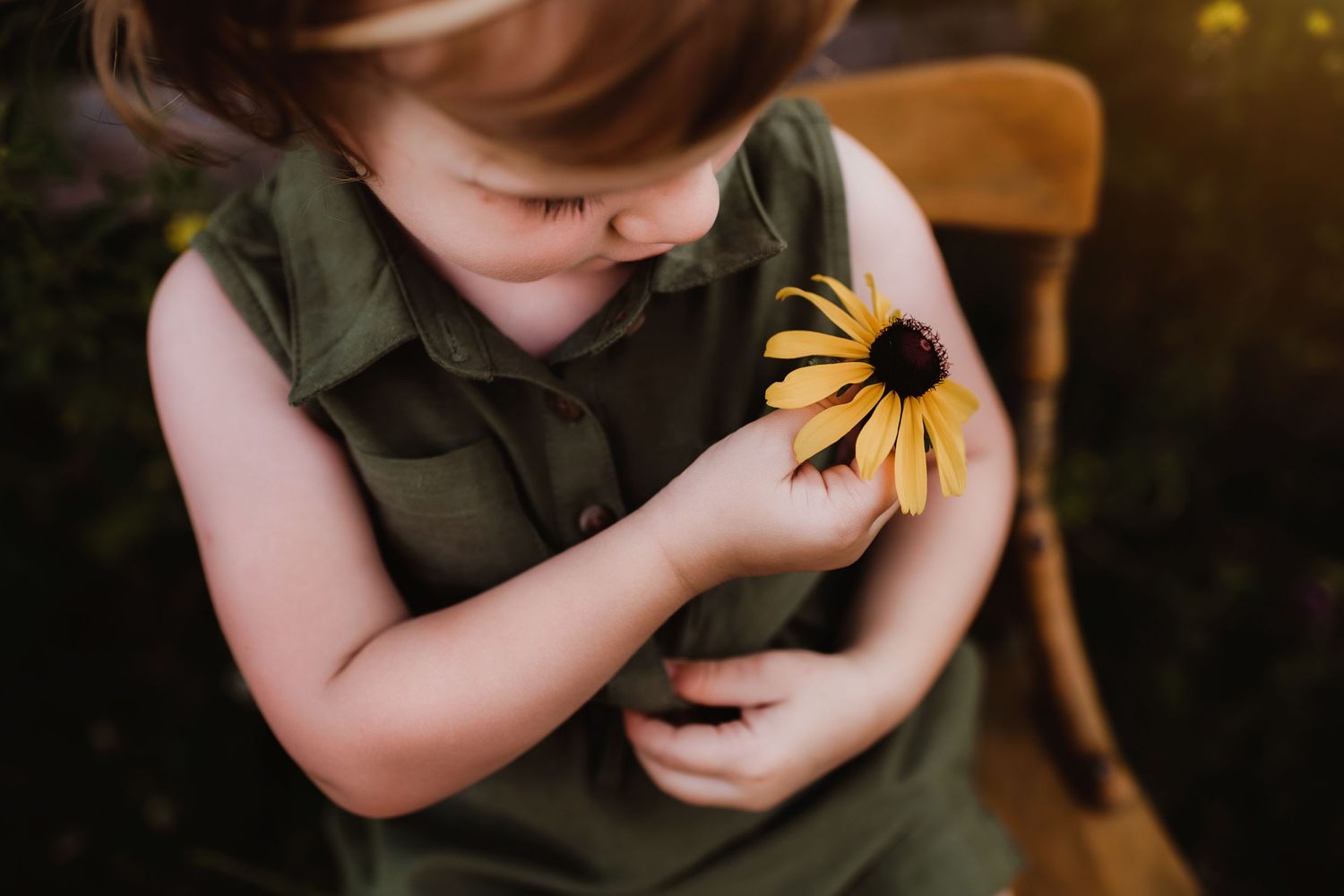 Small hands cradle a vibrant yellow black-eyed susan flower against a dark background.