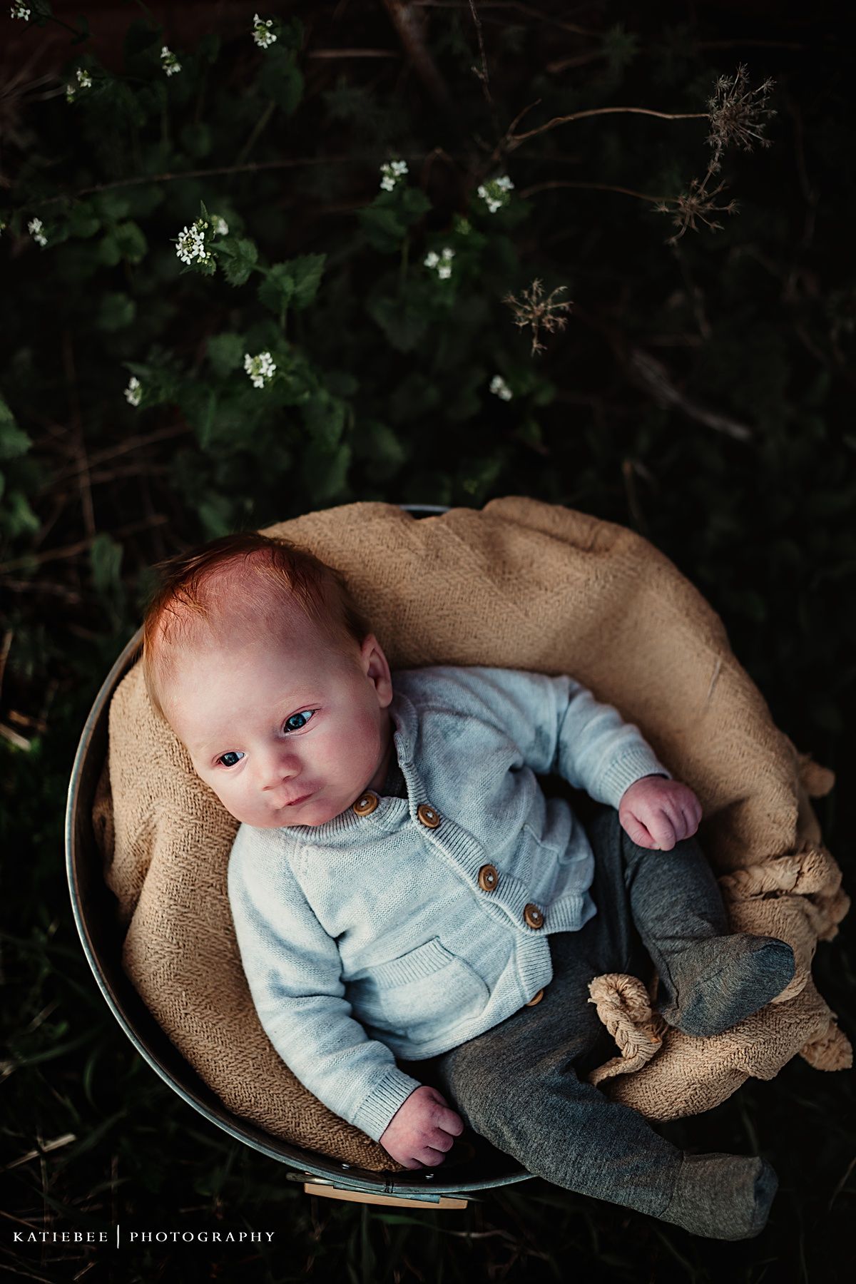 Baby in light blue outfit rests in tan basket with small white flowers in background.