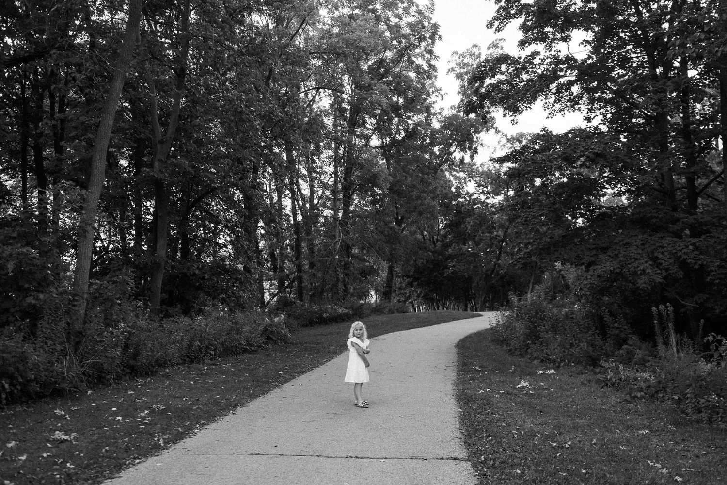 A peaceful wooded path with natural lighting filtering through trees.