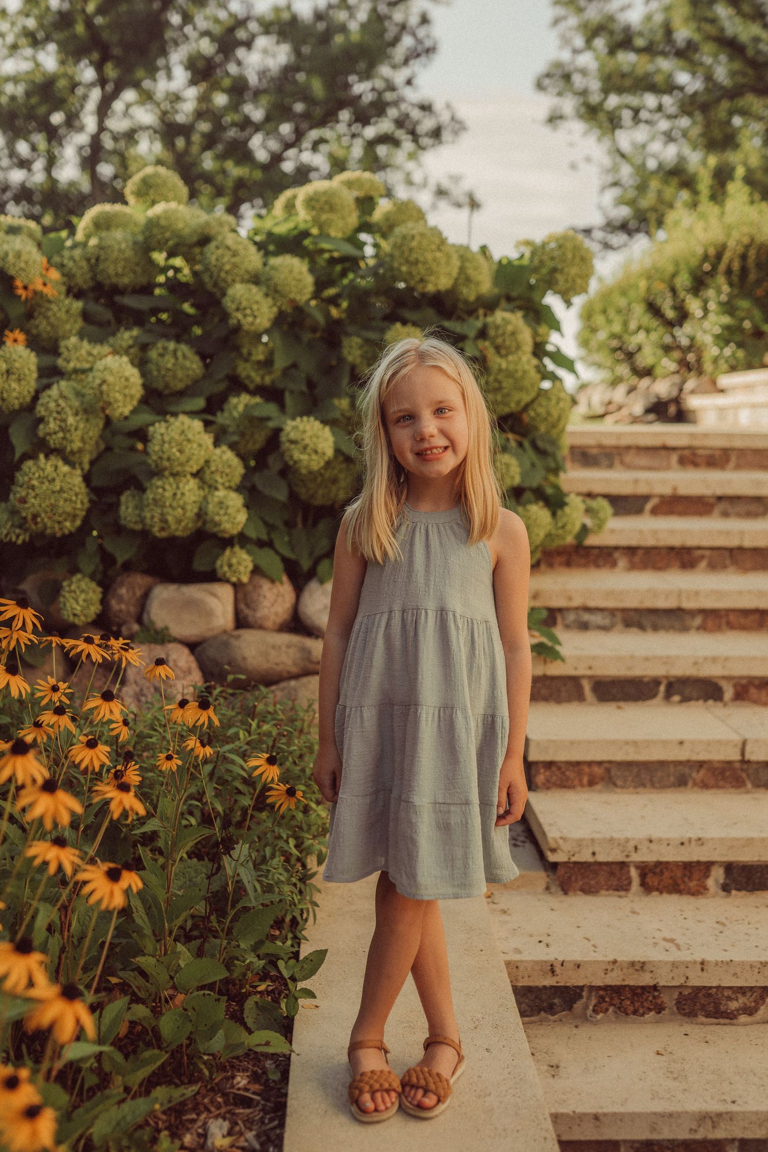 Summer garden scene with stone staircase, blooming hydrangeas and black-eyed susans.
