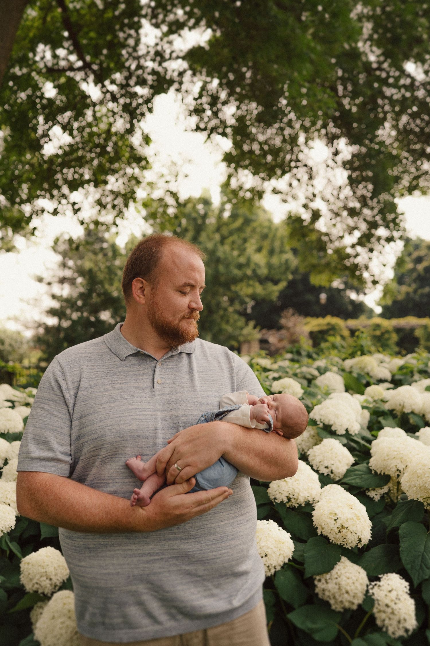 A tender moment captured in a garden with blooming white hydrangeas in the background.