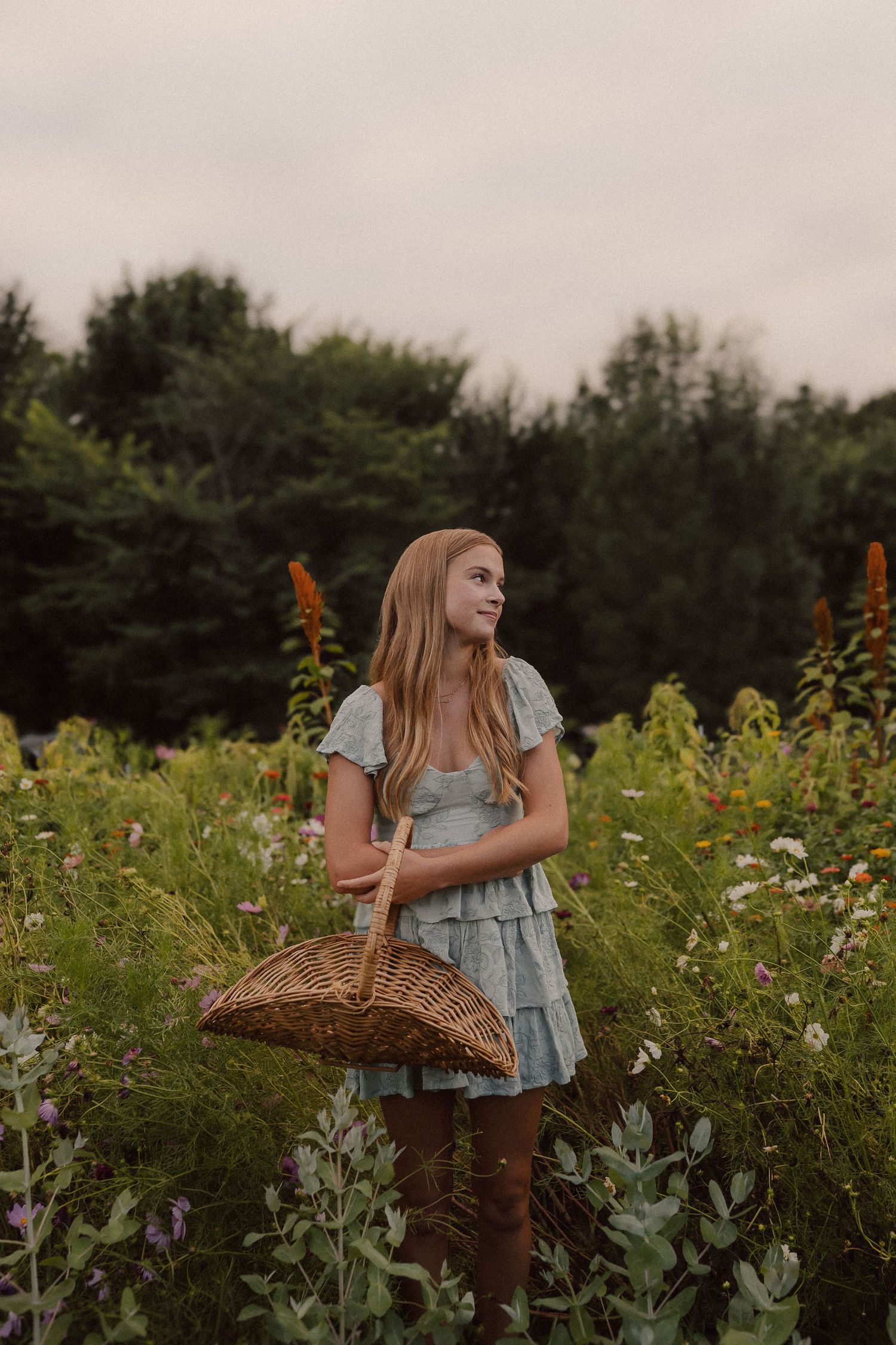 A soft summer scene in a wildflower field shows someone gathering blooms at sunset among lush green foliage.