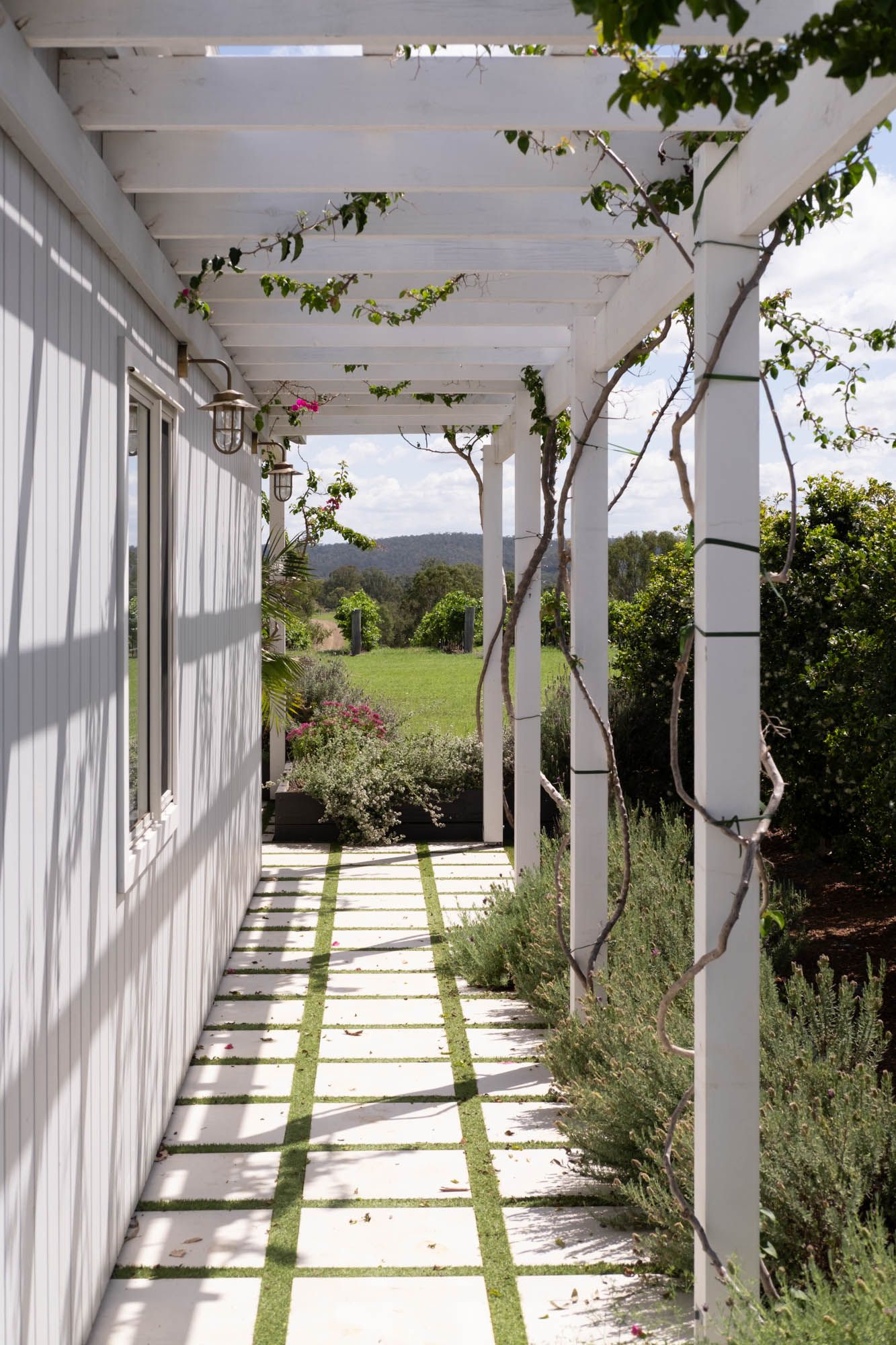 Sunshine Coast real estate photography: architectural white pergola walkway with climbing bougainvillea and modern coastal garden design.