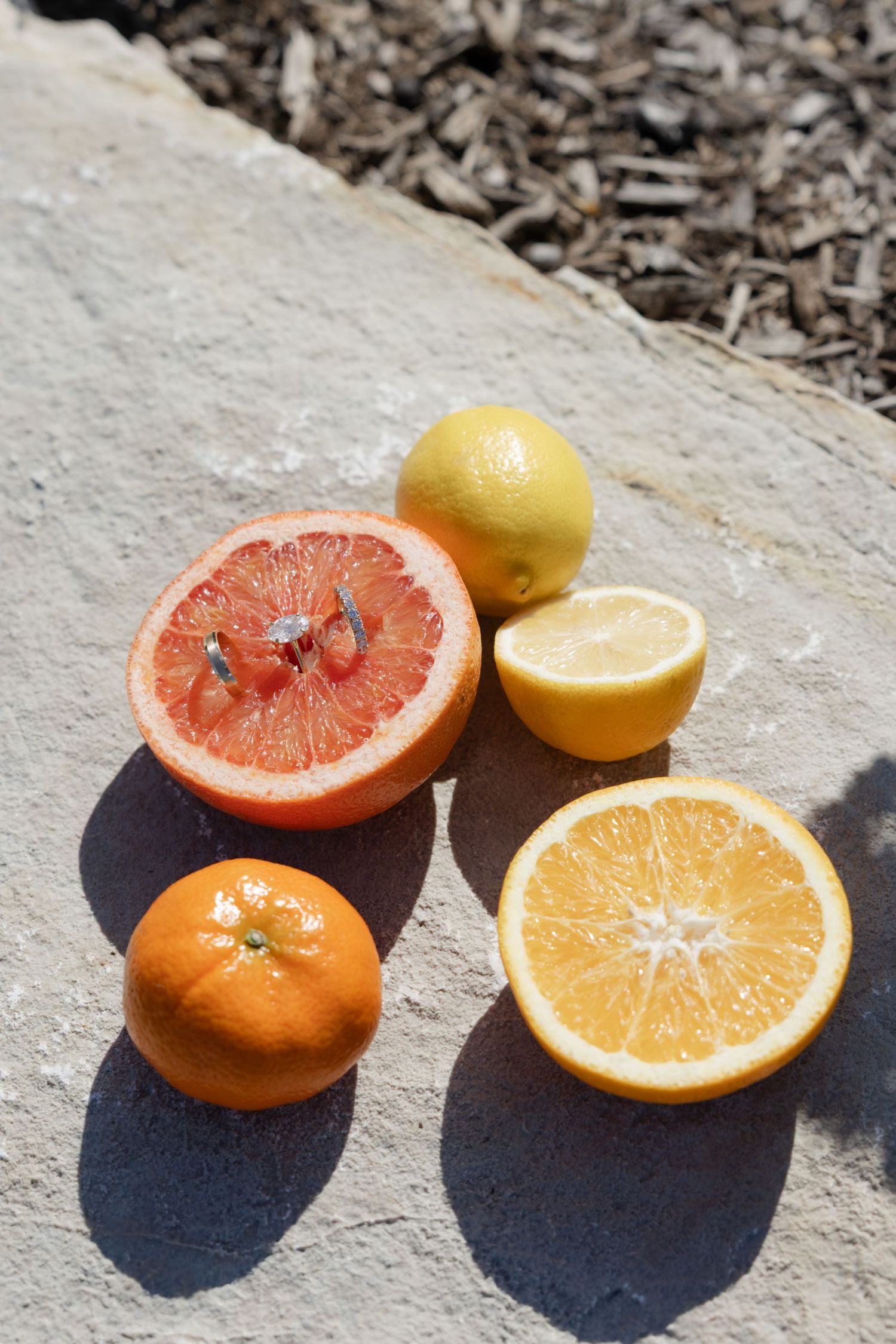 Citrus fruits including orange, grapefruit and lemon halves arranged on a stone surface in sunlight.