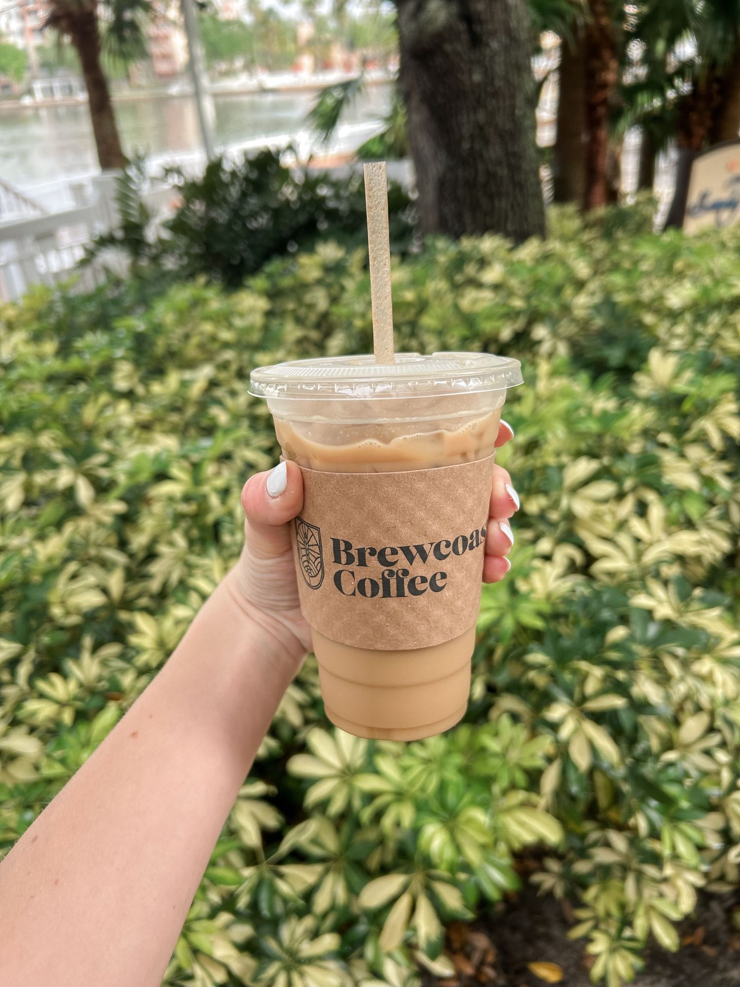 Hand holding iced coffee cup from Brew Coffee against leafy green background.