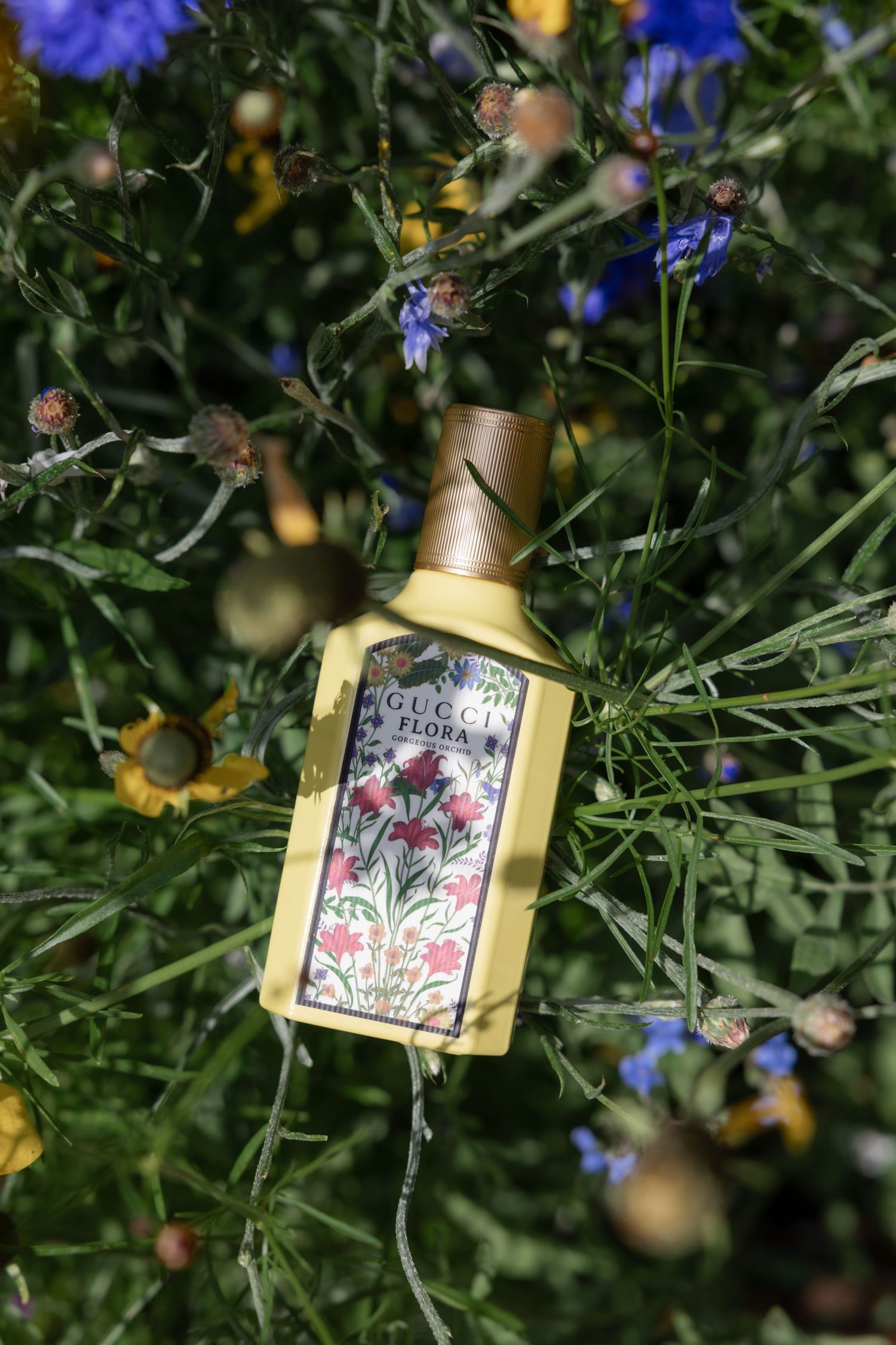 Decorative gold lantern with floral design nestled among blue and green garden foliage.