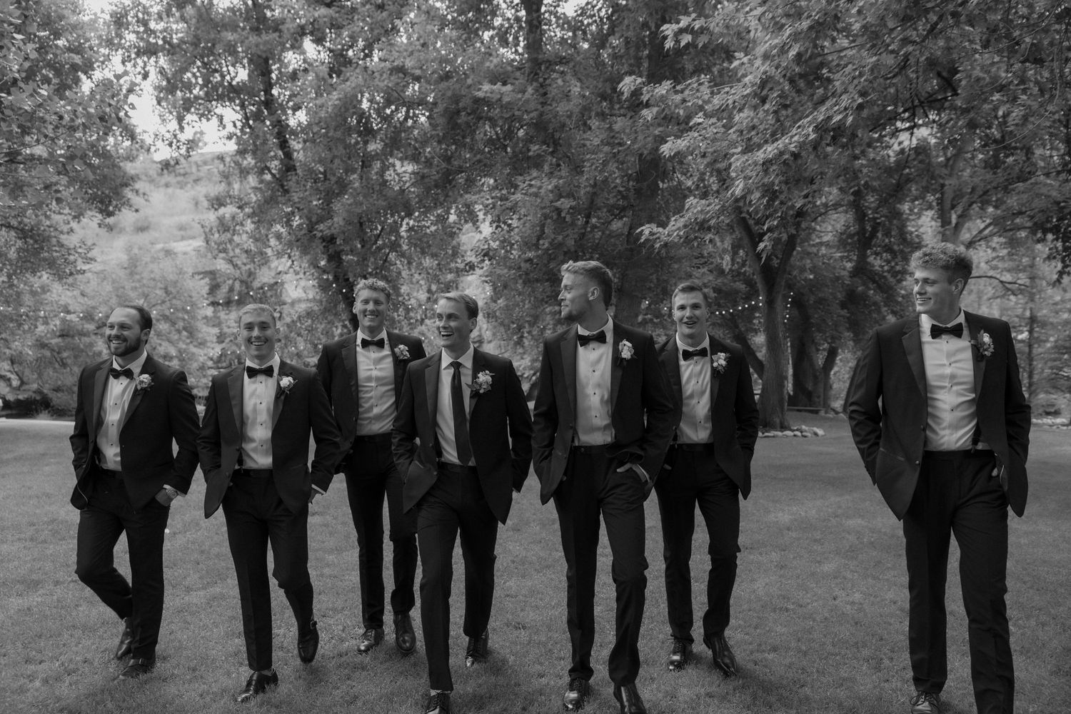 Groomsmen in black tuxedos posing casually on grass for wedding photos.