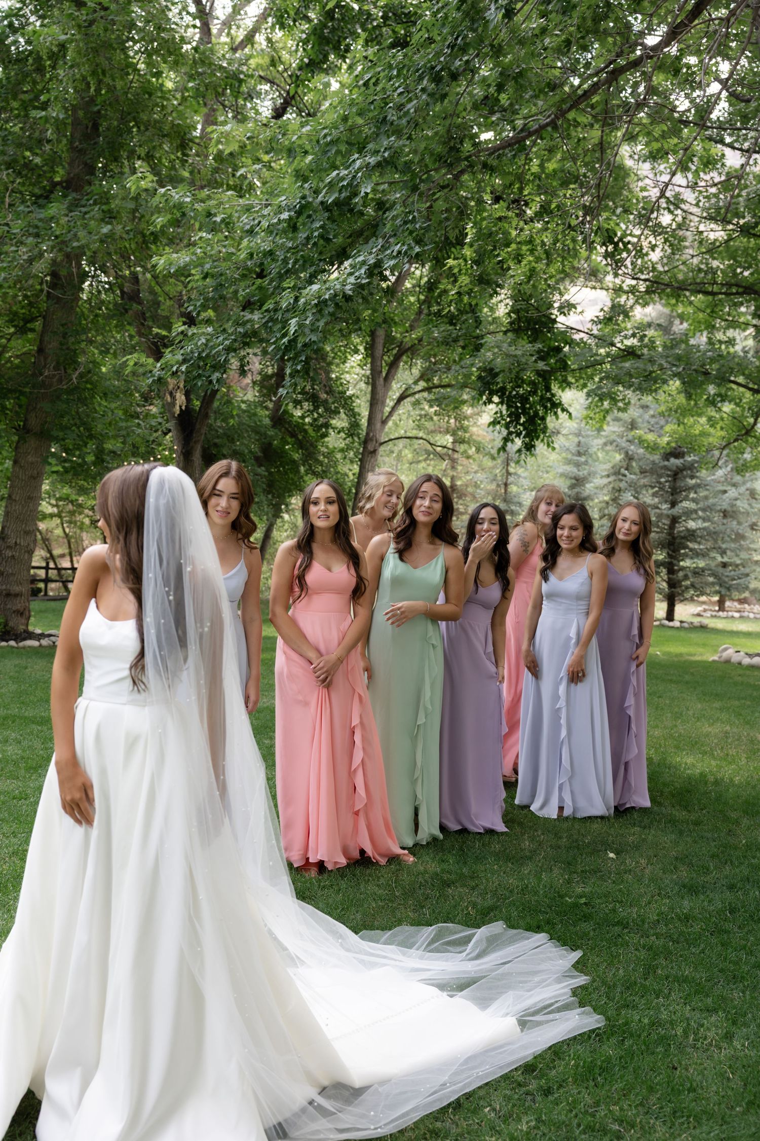 Bridesmaids in soft pastel dresses line up on grass for formal wedding photos.