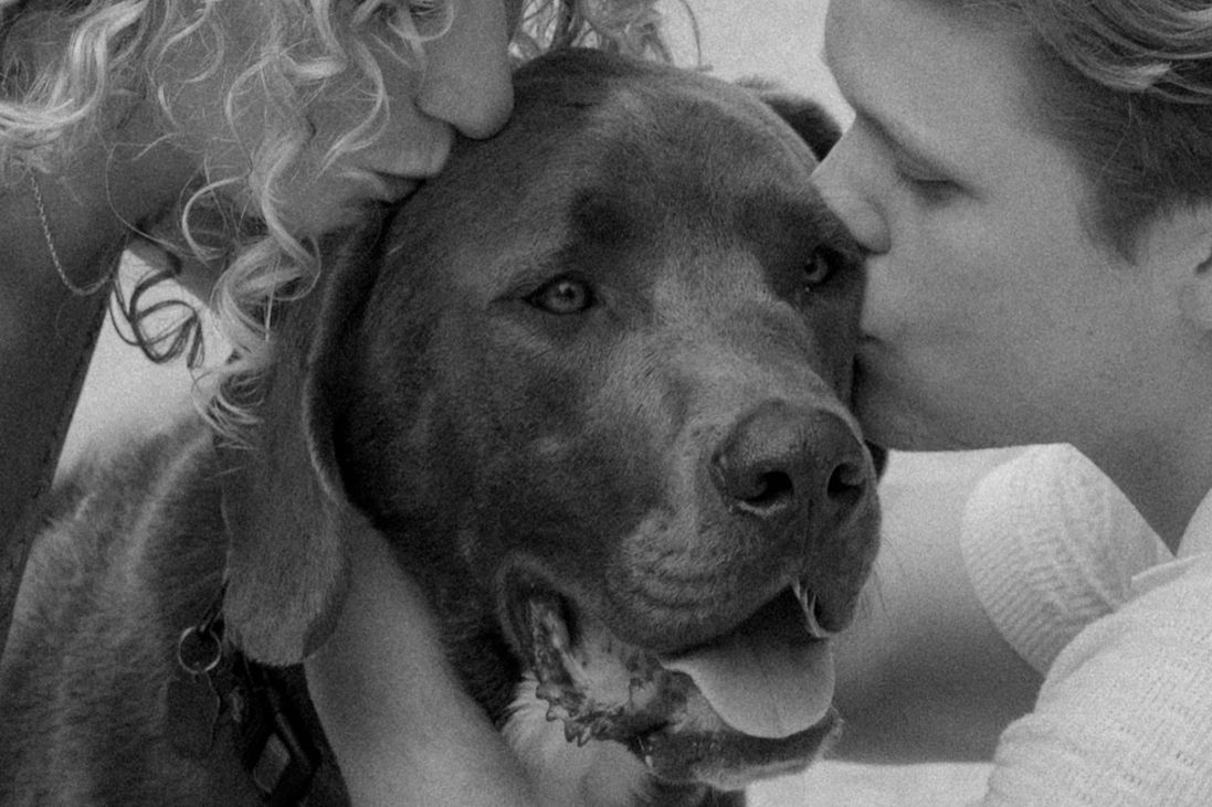 Black and white series showing affectionate moments between a person and their dog.