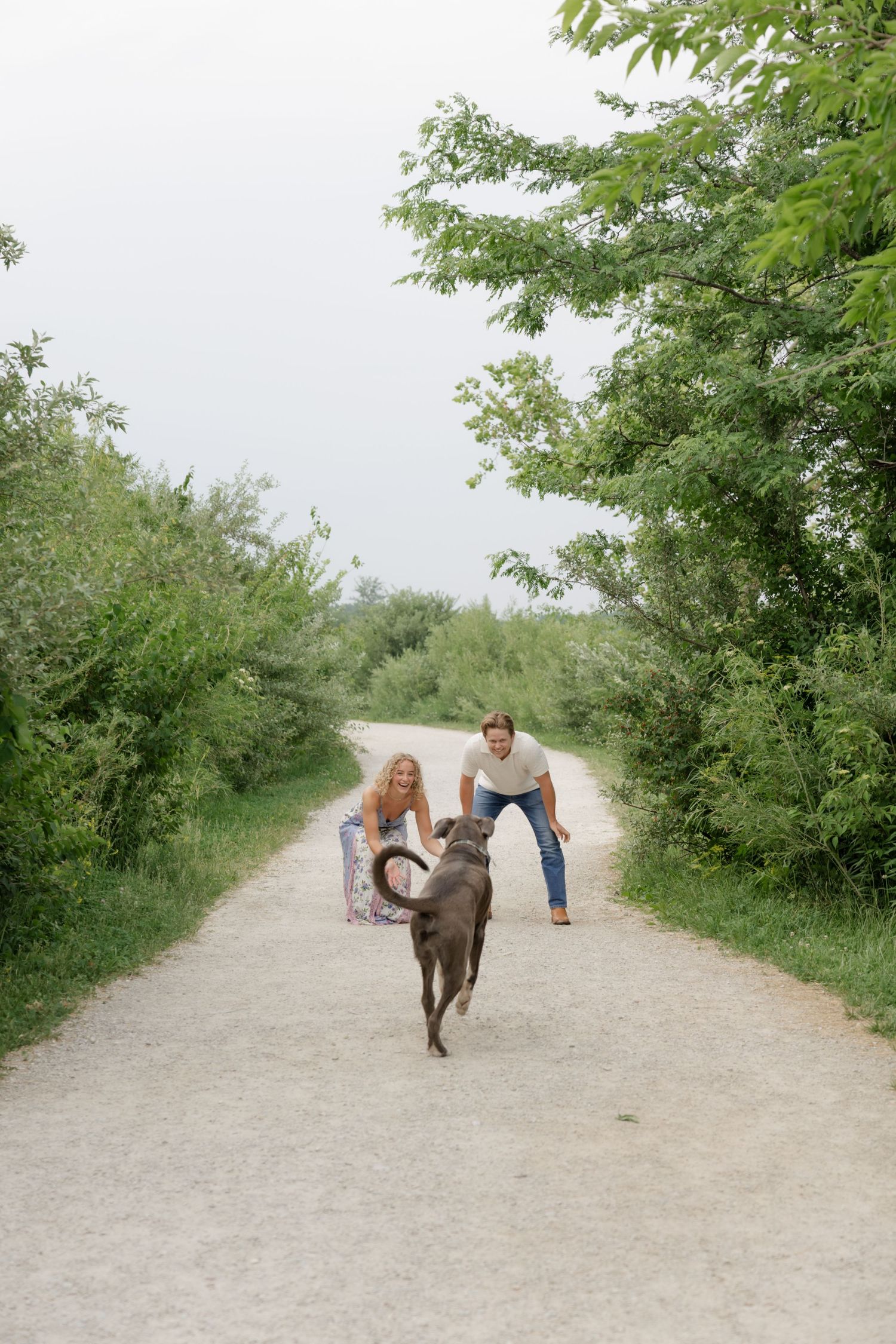 A couple playing with their dog on a gravel path surrounded by green bushes.