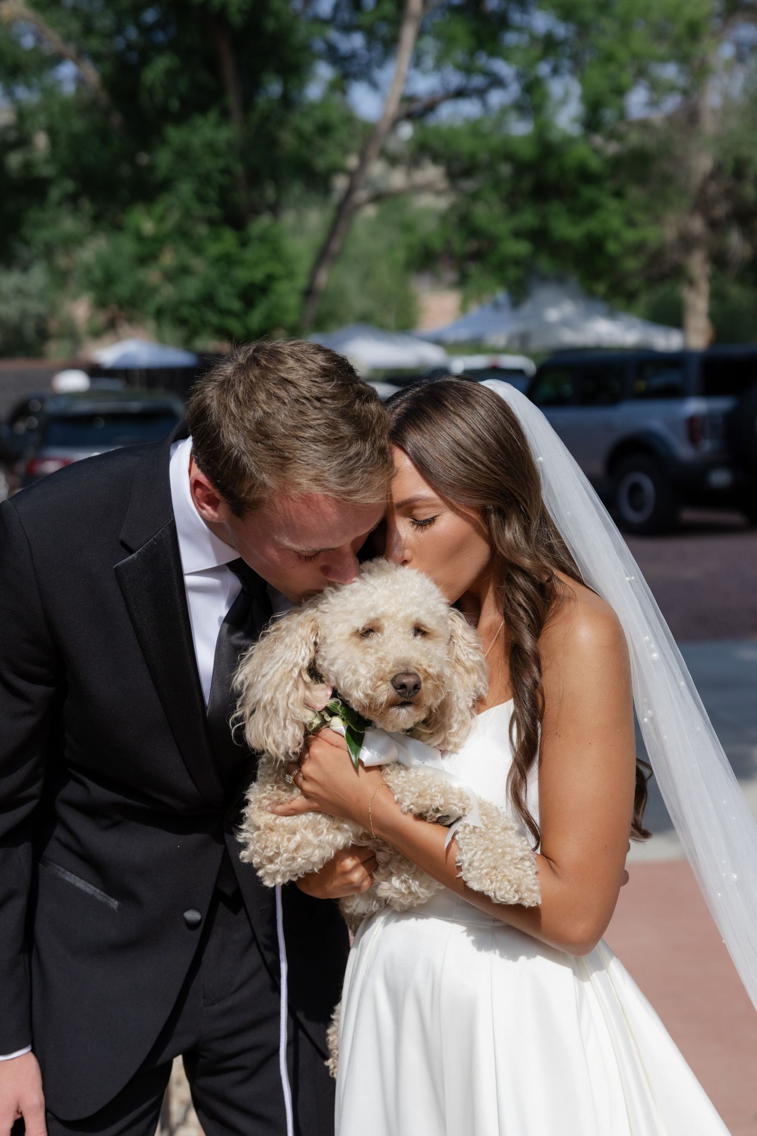 A couple shares a tender moment with their fluffy white dog during their wedding day.