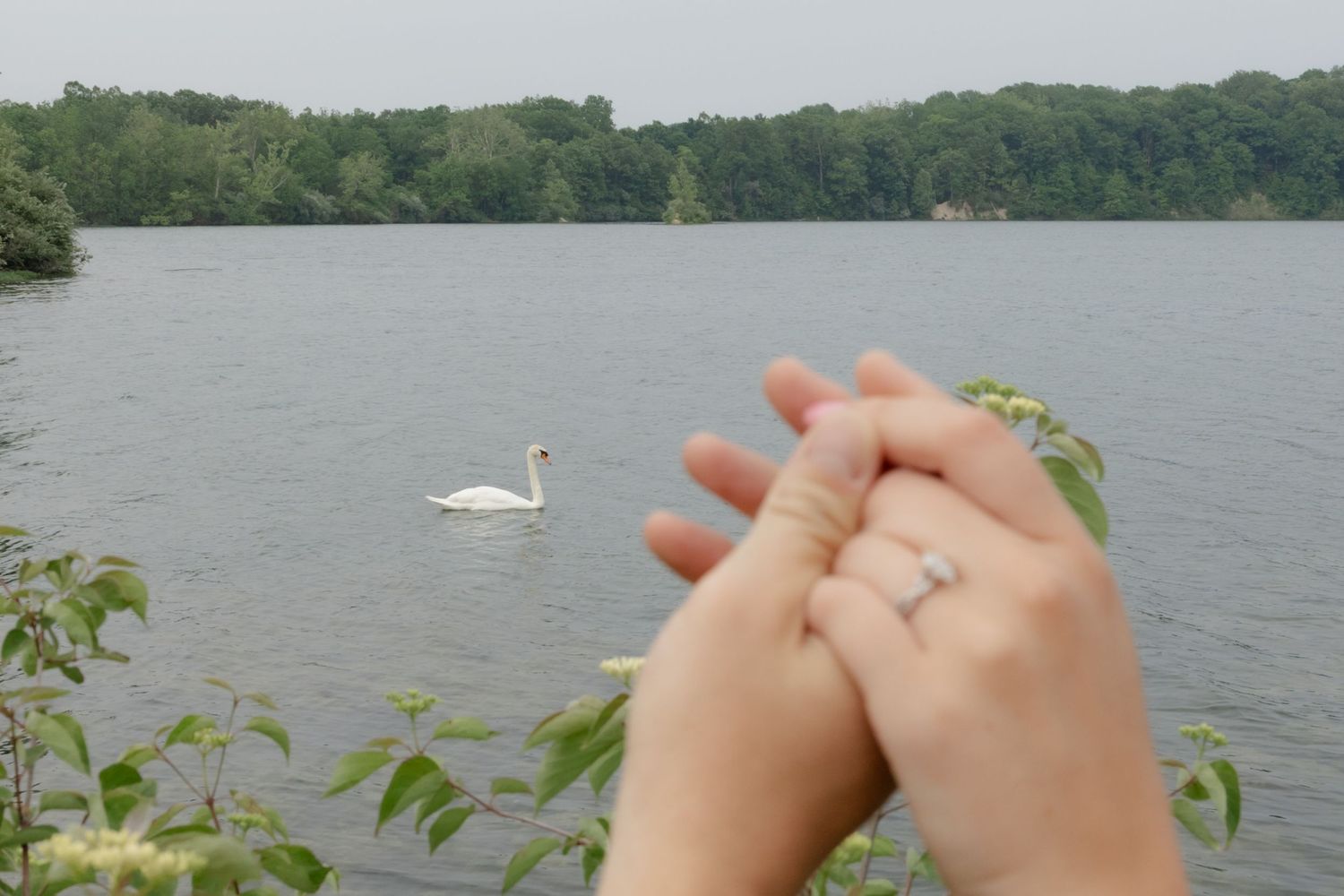 A view of a tranquil lake with trees along the shoreline on an overcast day.