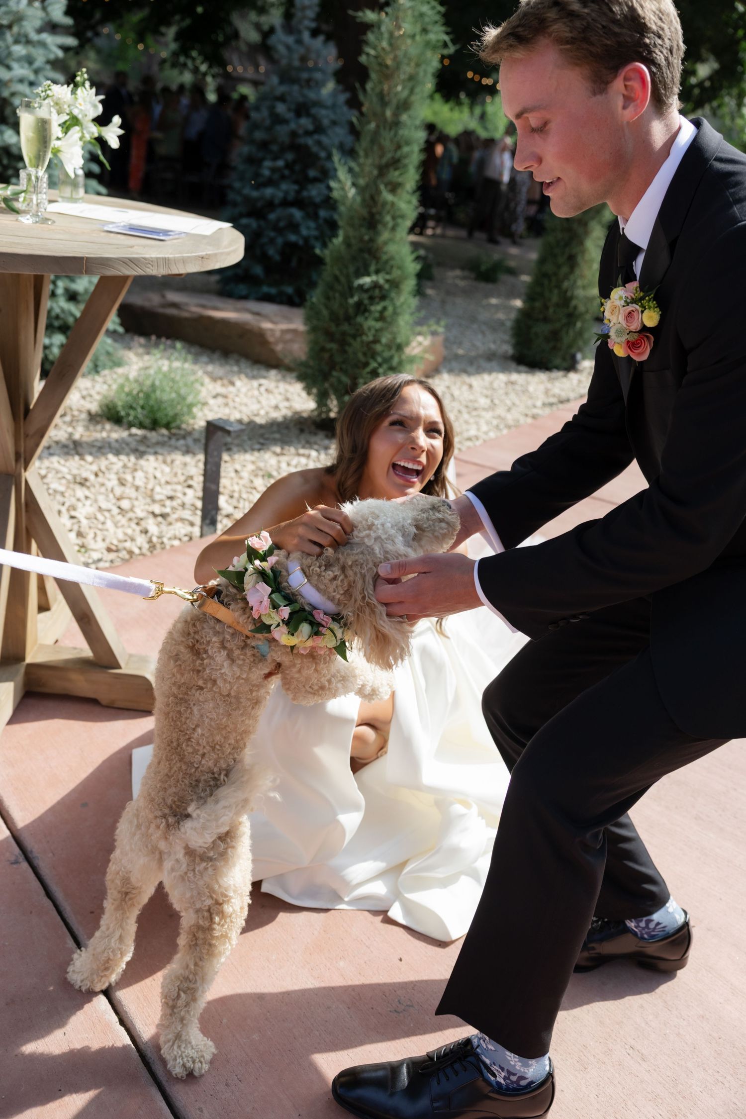 A fluffy cream-colored dog wearing a floral collar joins the wedding celebration.