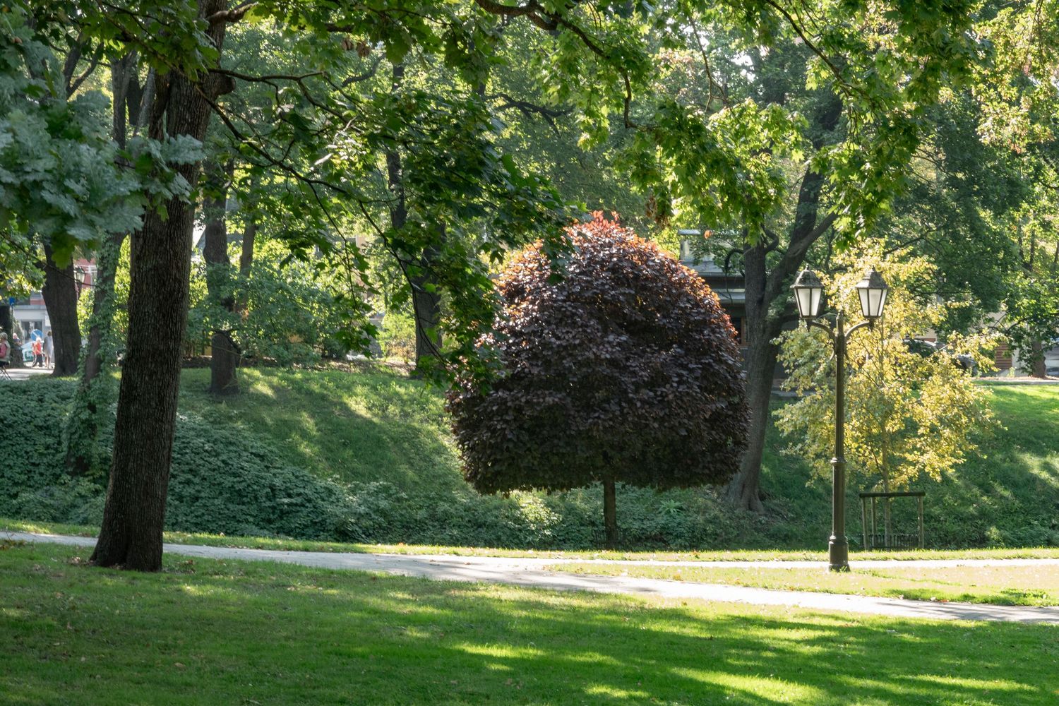 Puistonäkymä Riika, Latvia