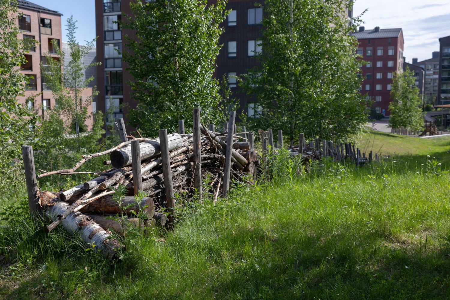 Risuaita puistossa Jyväskylän Kankaan alueella