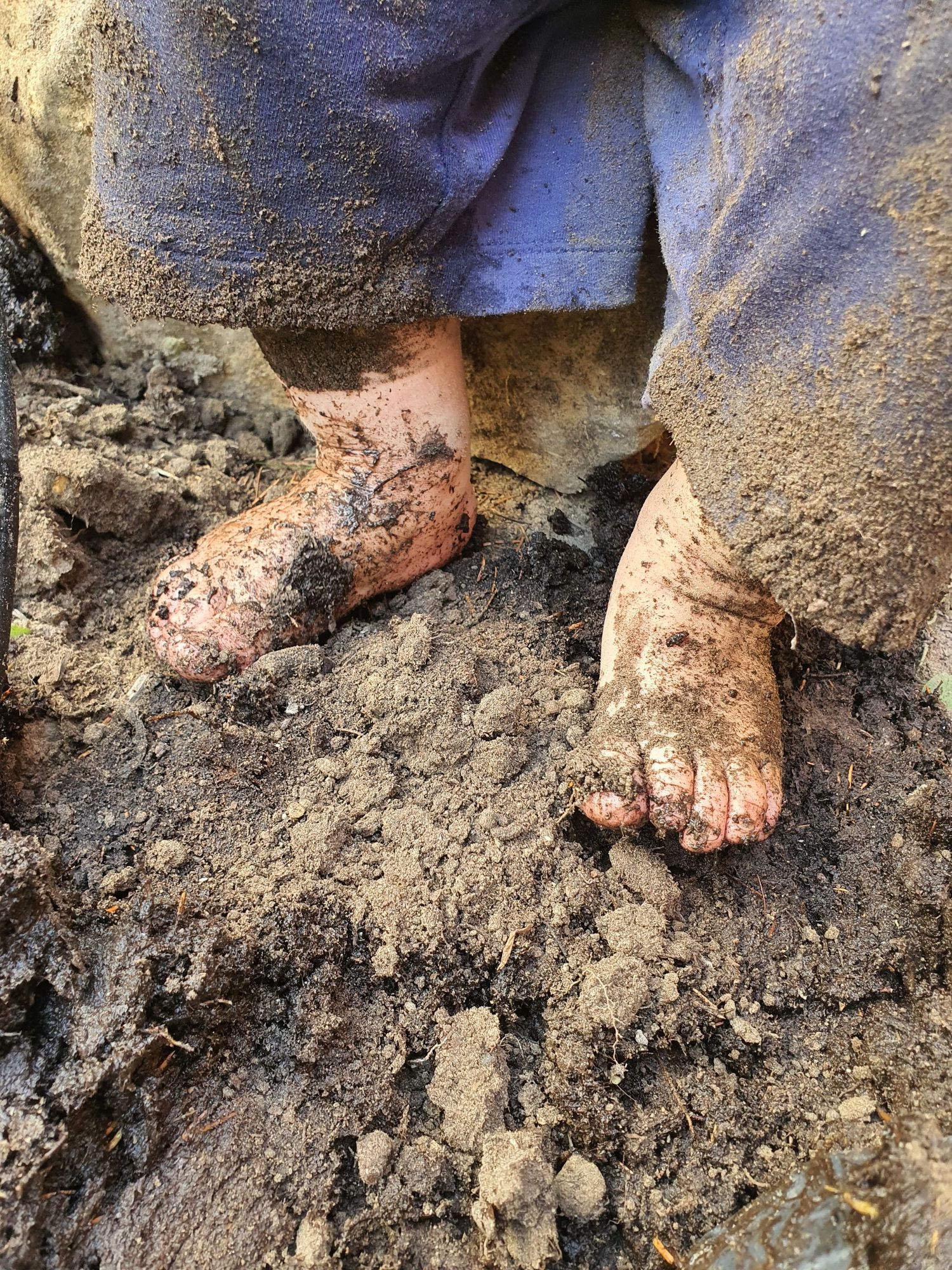 Bare feet stepping in wet mud and soil showing natural texture and earthy tones.