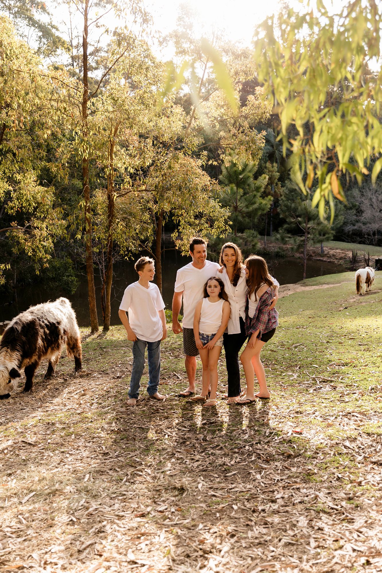 In-home family and pet cow photoshoot at the Sunshine Coast.