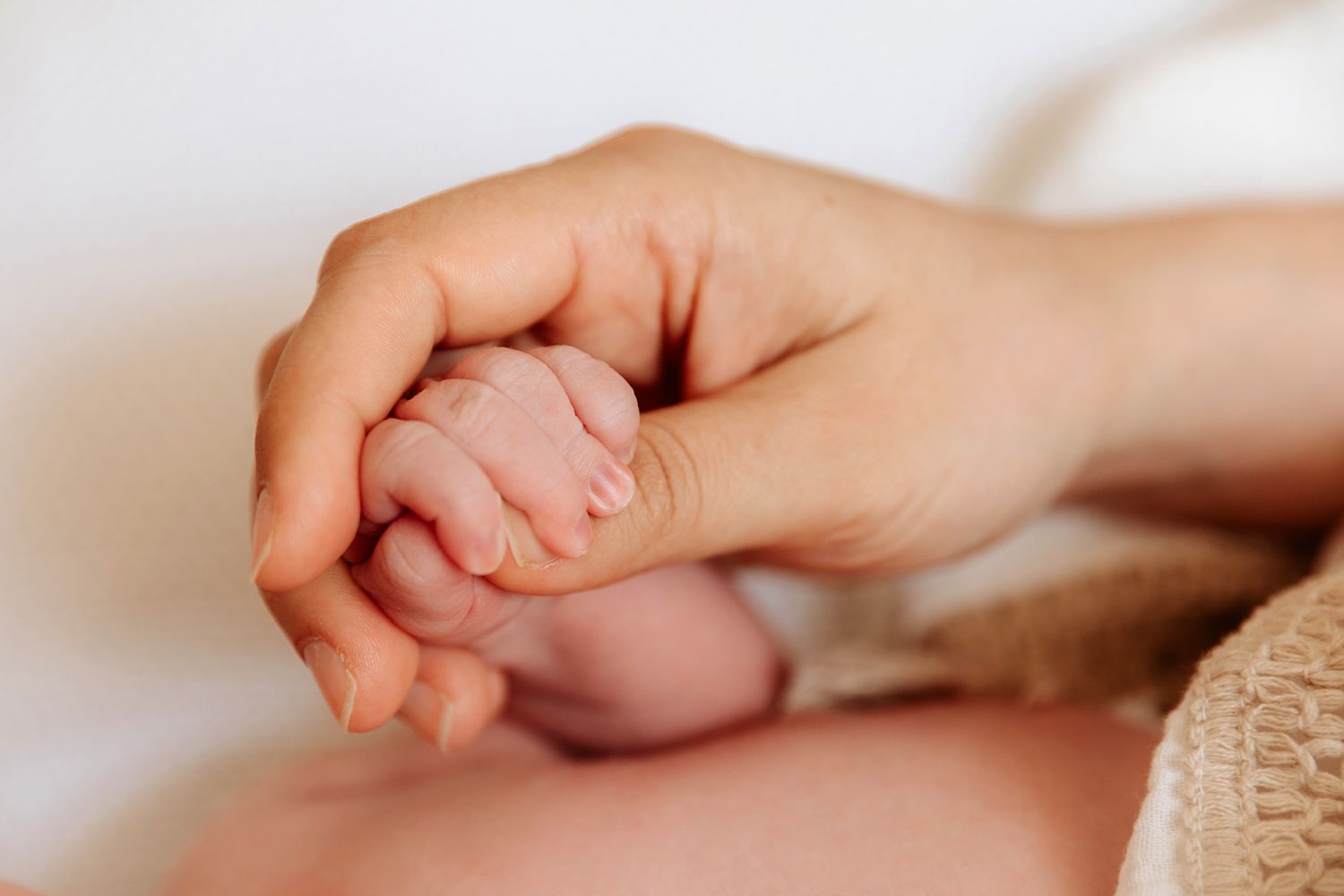Newborn photographer Brisbane.
