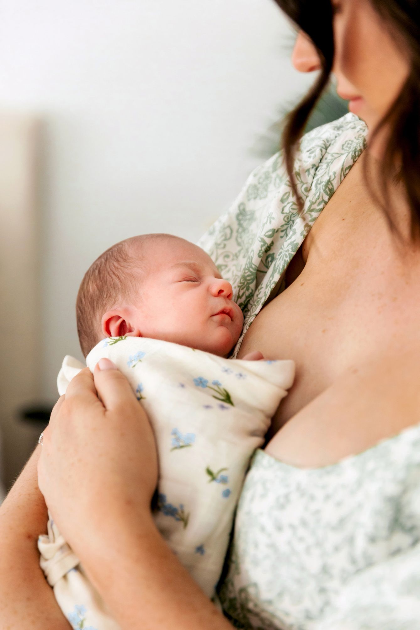 Newborn photography in Wellington Point.