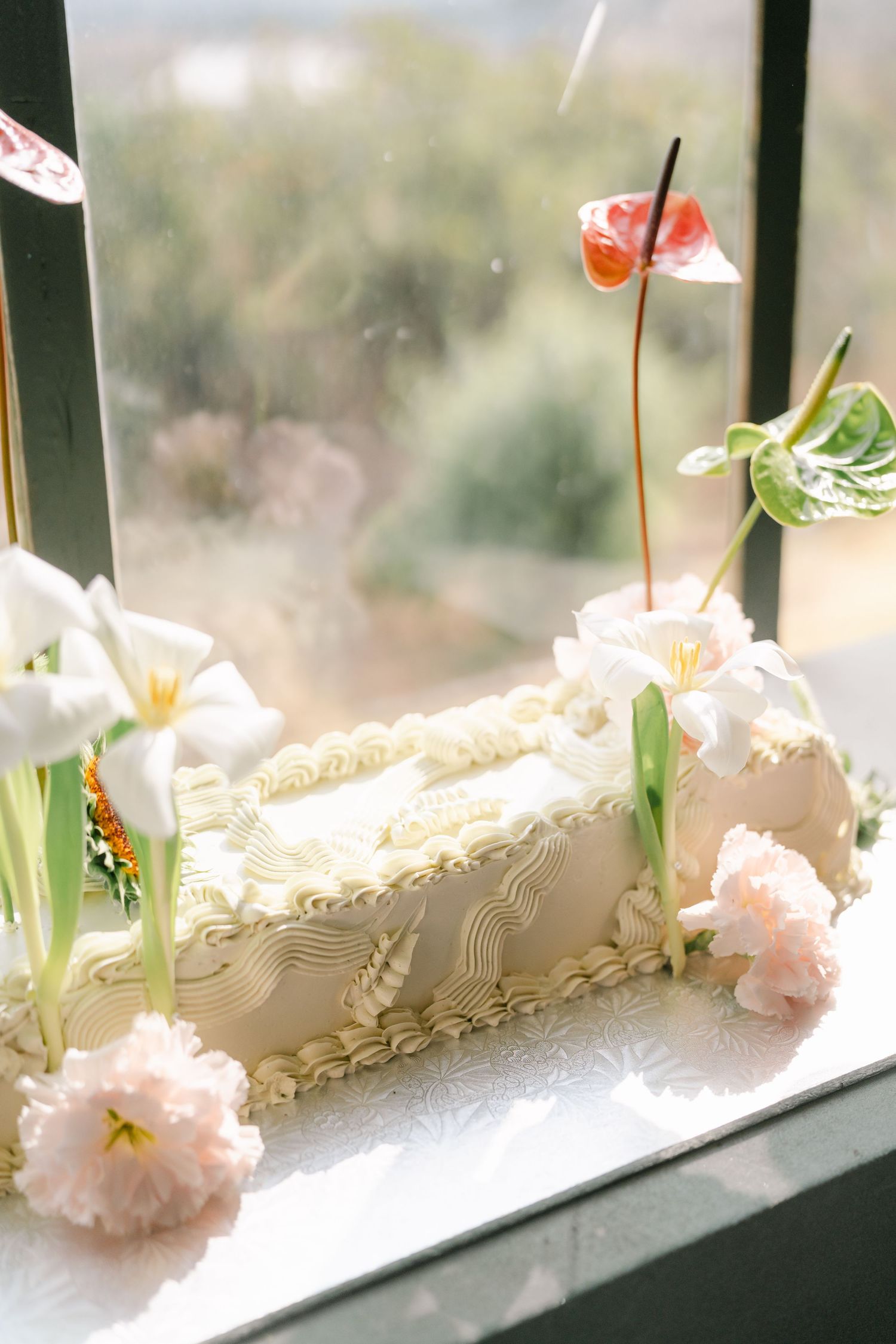 Delicate pink carnations line a windowsill in soft natural light creating a dreamy spring atmosphere.
