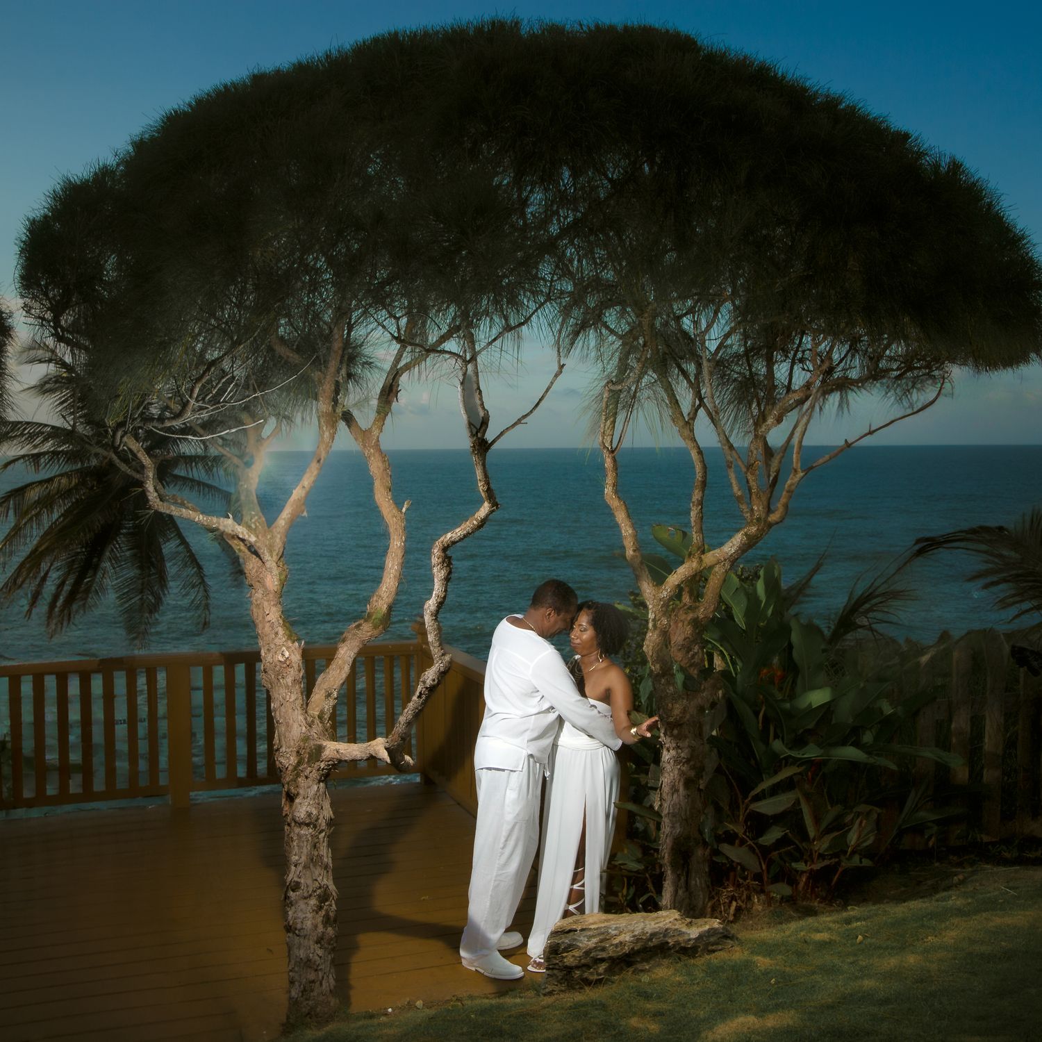 A romantic seaside moment captured under sprawling trees with an ocean view.