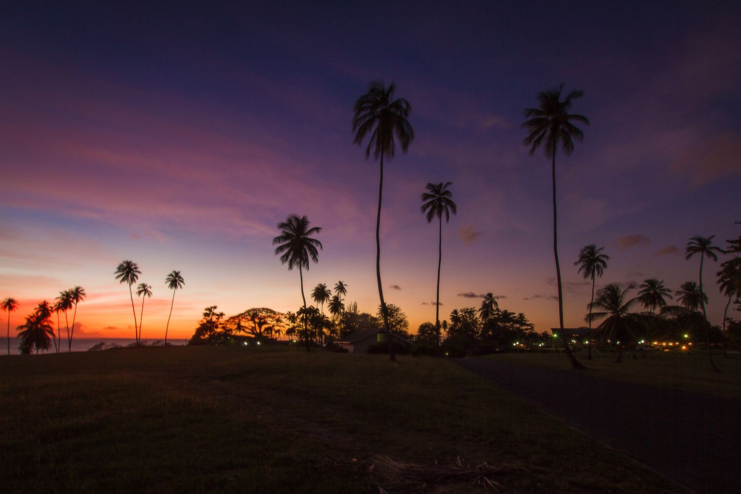 Palm trees silhouetted against a vibrant purple and orange tropical sunset sky.