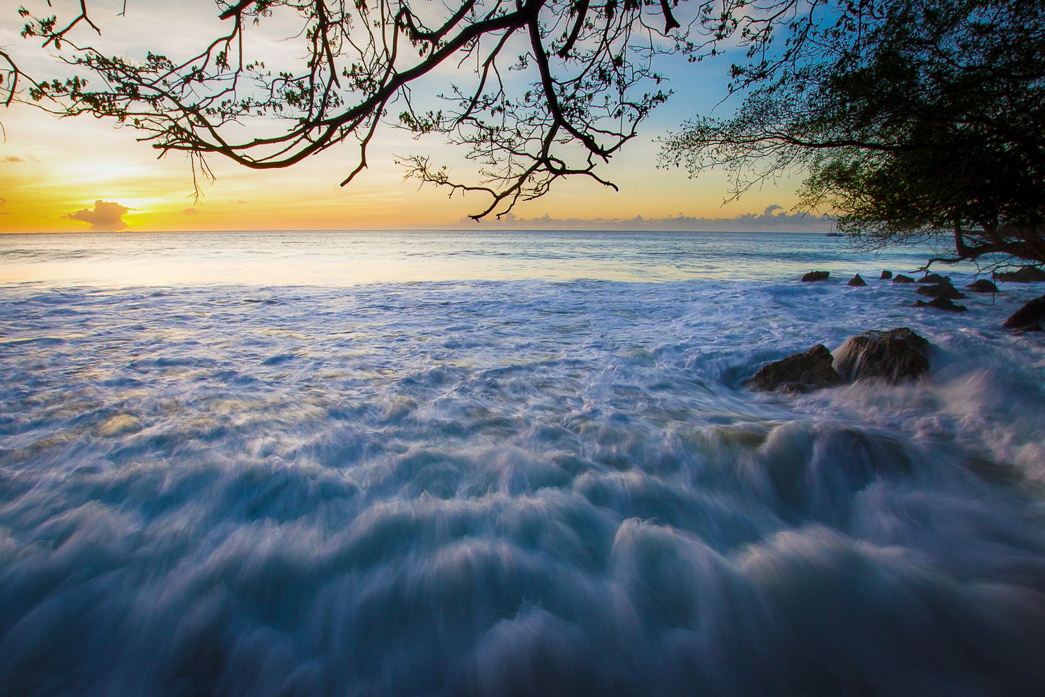 Ocean waves crash against rocks at sunset with tree branches framing the dramatic seascape view.
