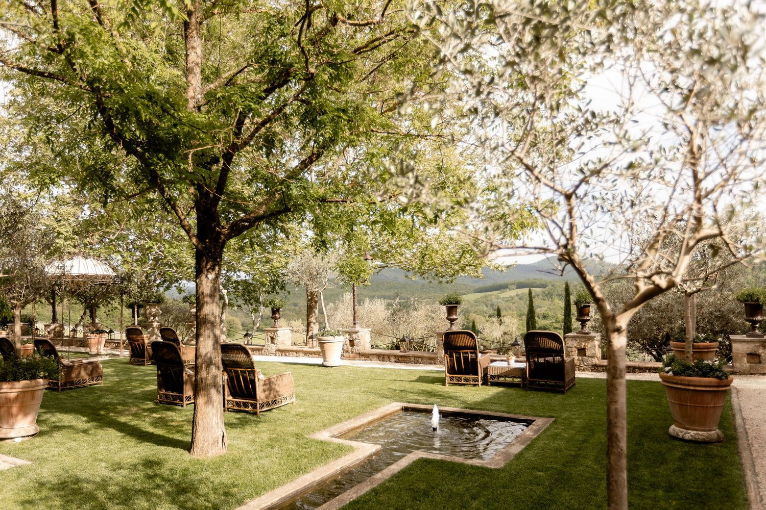A tranquil orchard with blooming white cherry blossoms in spring sunlight forms a scenic panoramic landscape view.