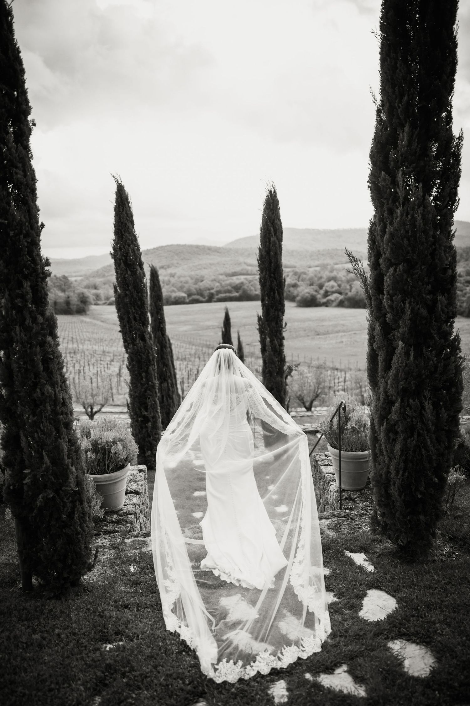 A flowing white wedding veil billows dramatically between tall cypress trees in a black and white Tuscan landscape.