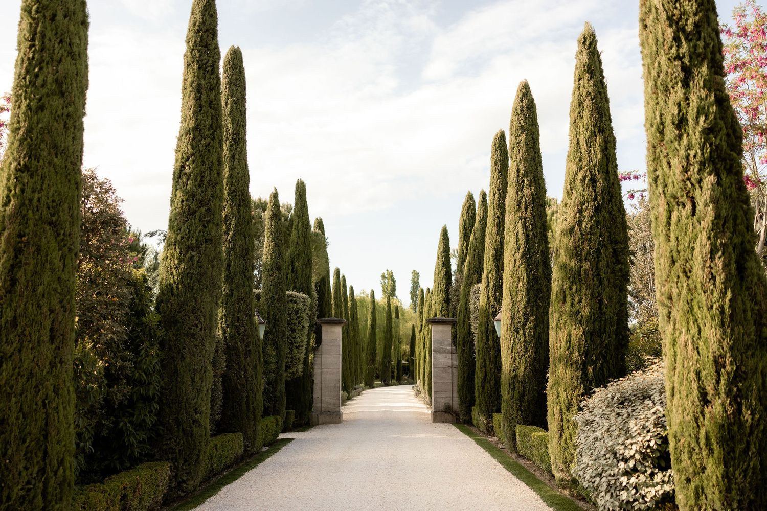 A scenic pathway lined with tall cypress trees leads through a Mediterranean garden landscape.
