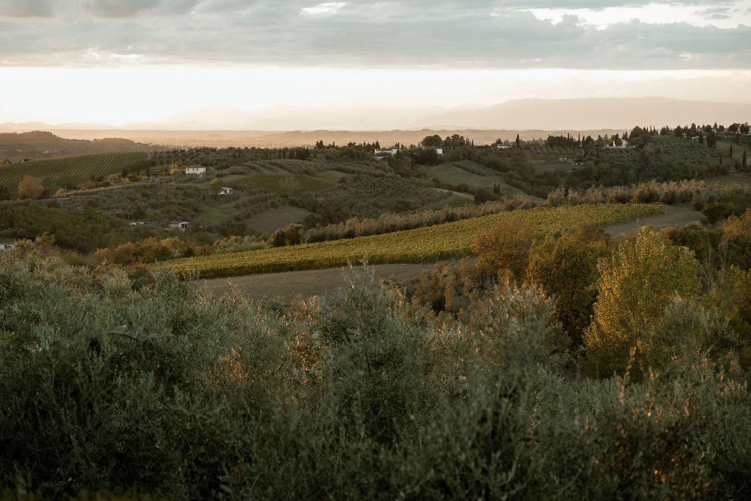 Rolling hills and countryside landscape stretches into the distance under a cloudy autumn sky.
