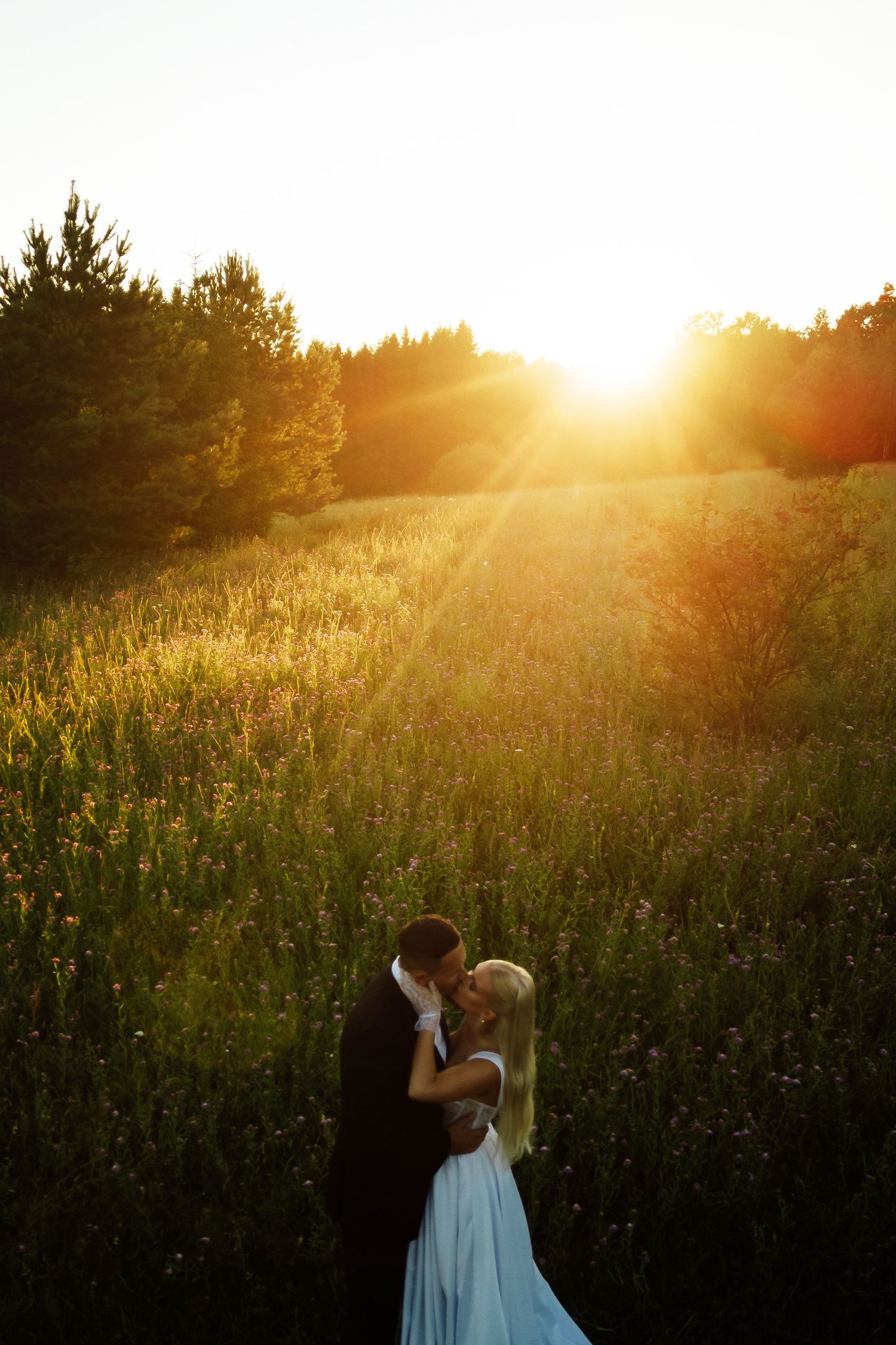 Newlyweds embrace lovingly in a summer meadow during golden hour.