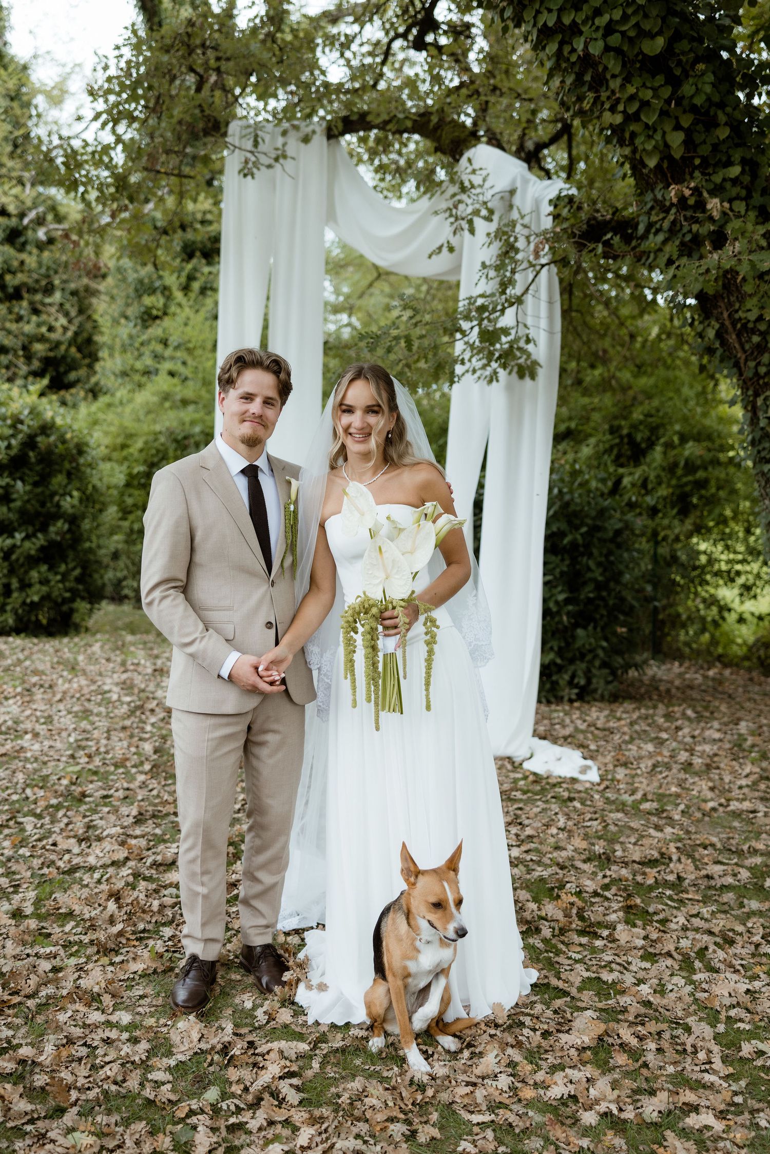 A couple in wedding attire poses with their corgi dog in front of white curtains and autumn leaves on the ground.