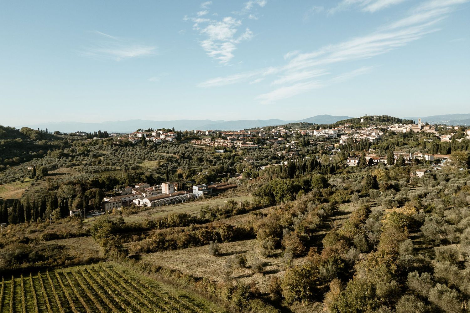 Scenic panoramic view of rolling Tuscan hills with olive groves and vineyards under a bright blue sky.