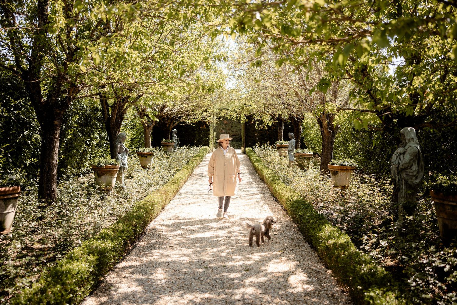 A person walking their dog down a sunlit garden path with trees canopying overhead on a peaceful afternoon.