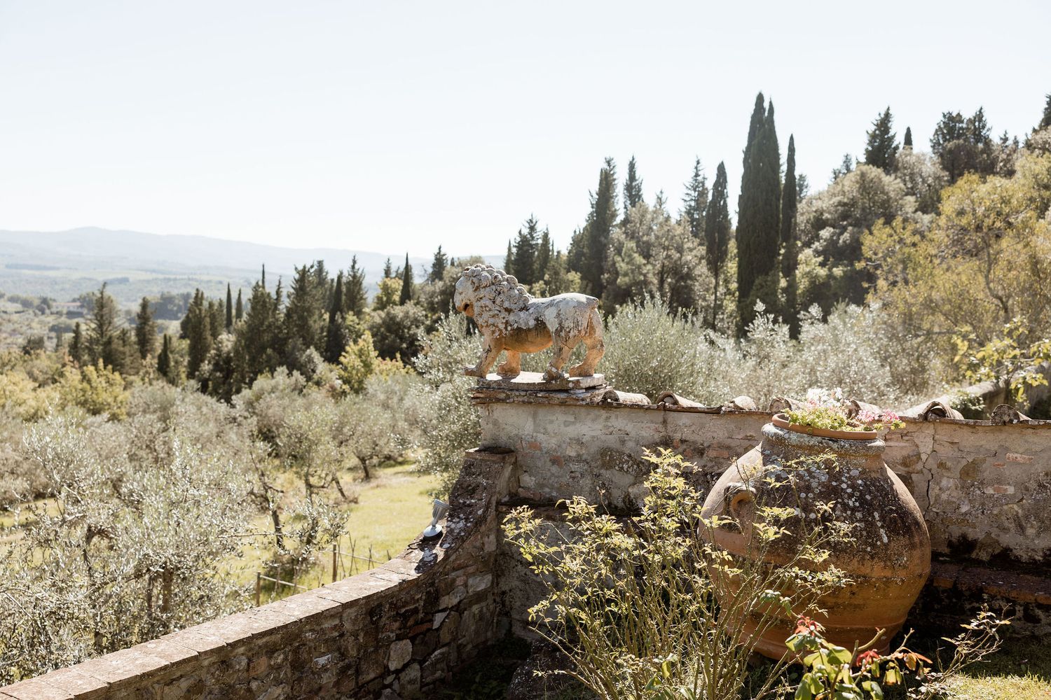 Panoramic view of rolling hills covered in olive trees and Mediterranean vegetation under a bright sky.