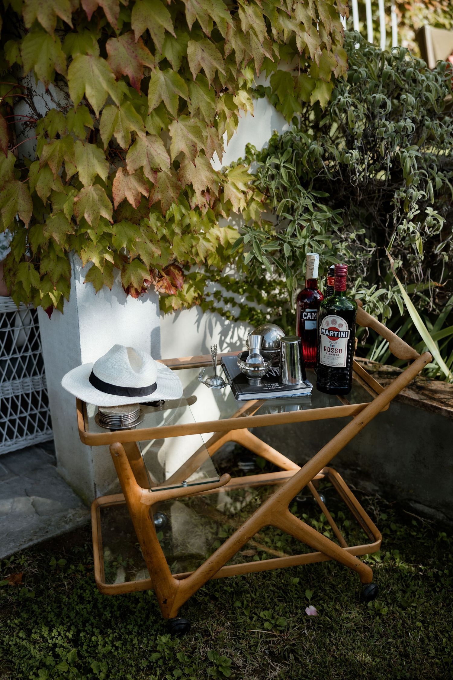 A wooden folding chair sits beneath green ivy leaves against a white wall in a garden setting.